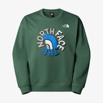 The North Face Oversized Crew Erkek Yeşil Mont