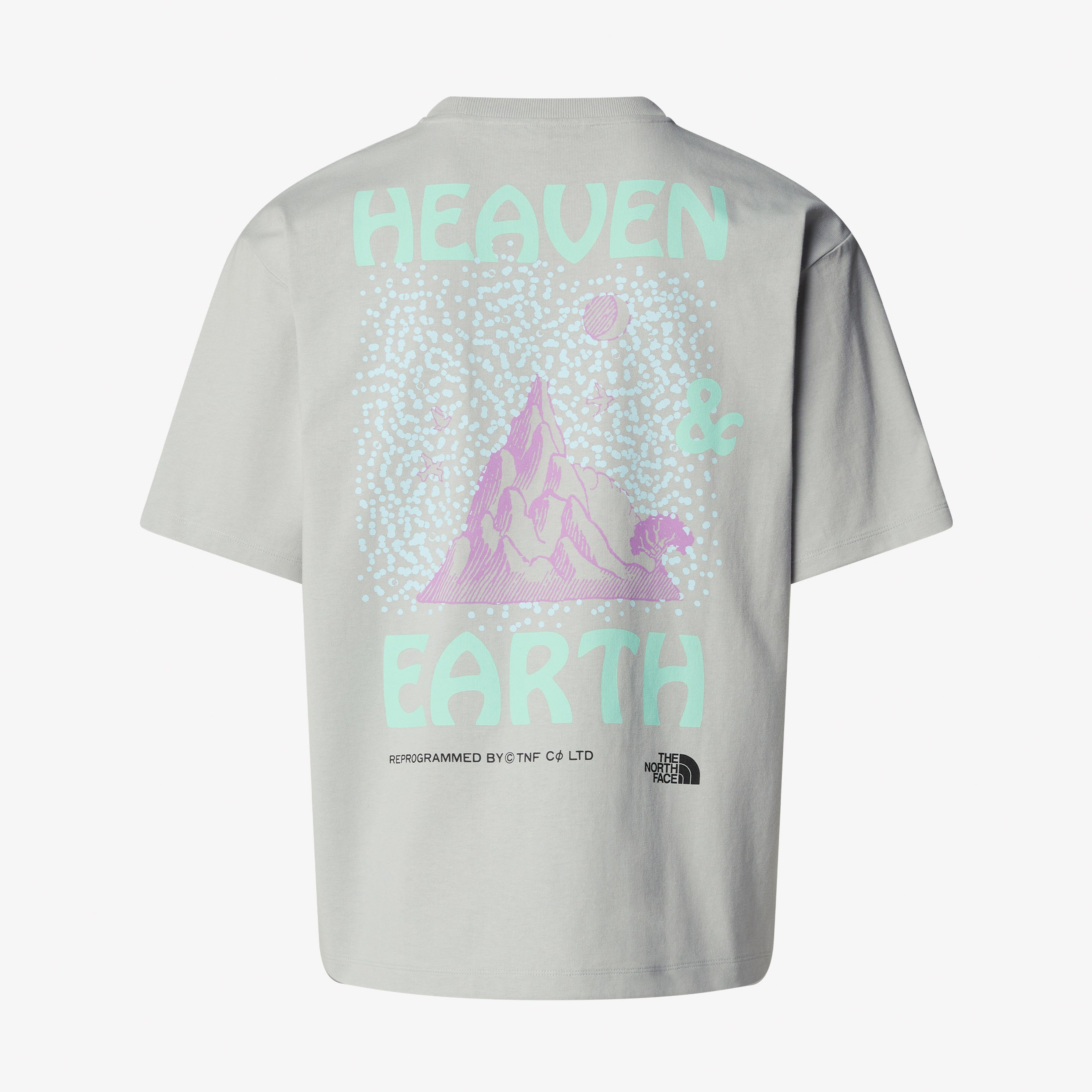 The North Face Haven Earth Erkek Gri T-Shirt