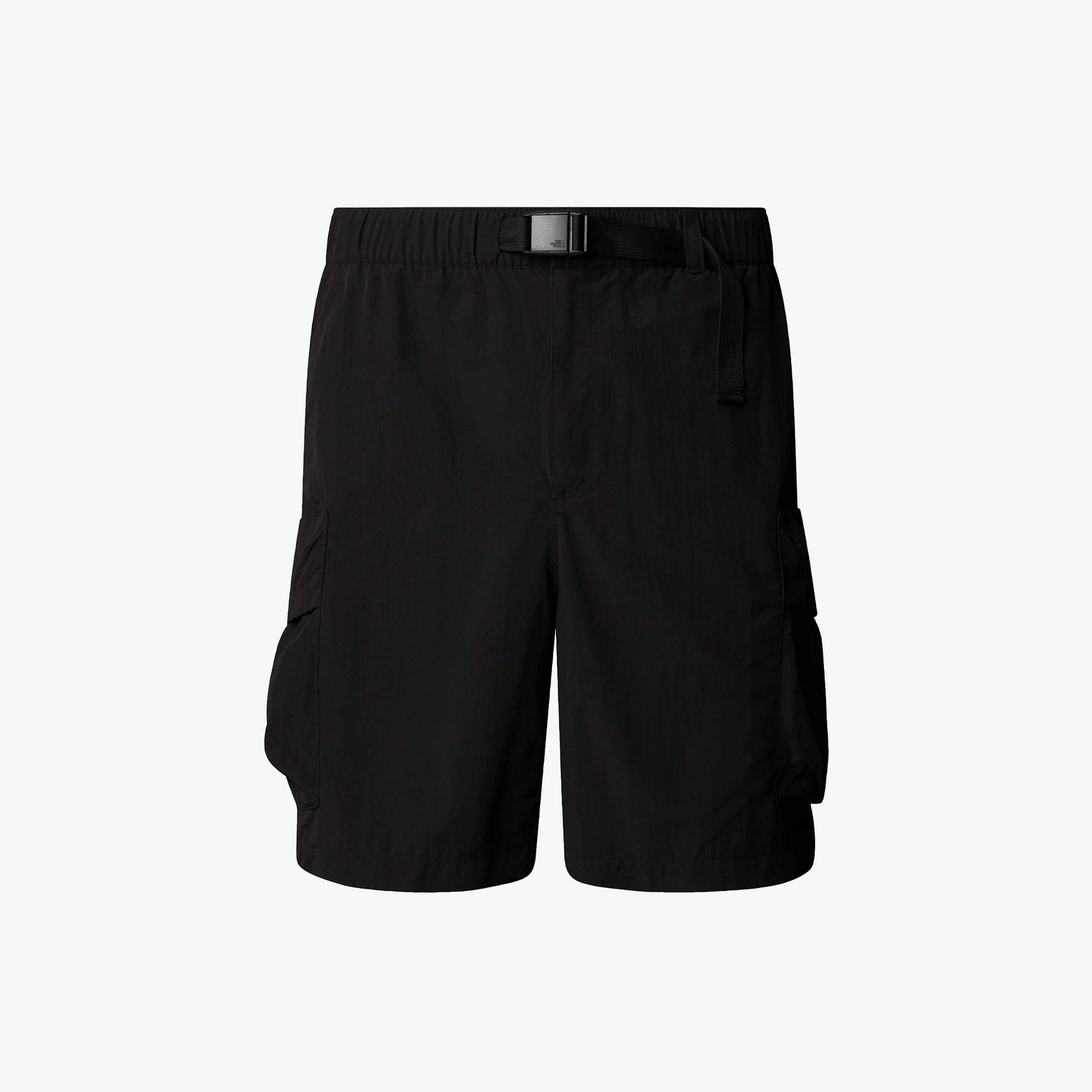 The North Face Cargo Pocket Erkek Siyat Şort