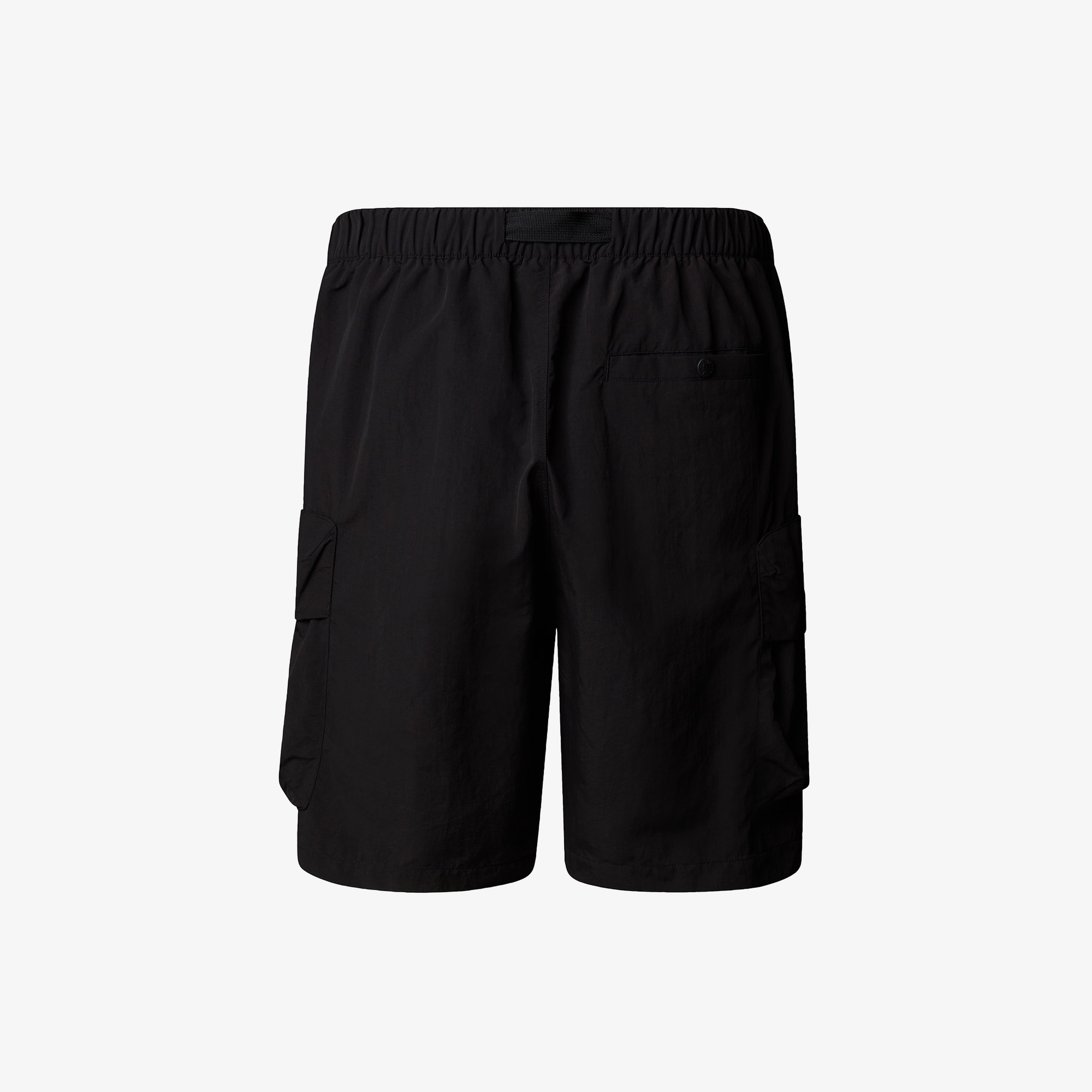 The North Face Cargo Pocket Erkek Siyat Şort