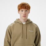 The Hundreds Vibes Pullover Erkek Kahverengi Hoodie