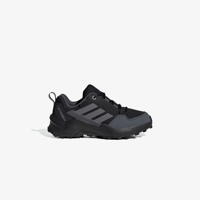 Adidas Siyah Adidas Terrex Ax4R