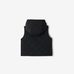 Burberry Slade Reversible Gilet Çocuk Bej Mont