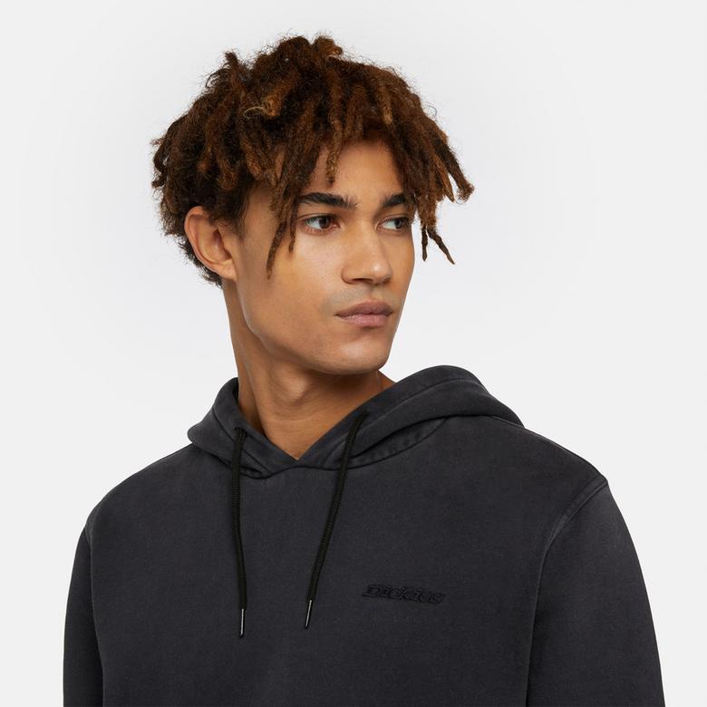 Dickies Plentywood Hoodie Erkek Siyah Sweatshirt