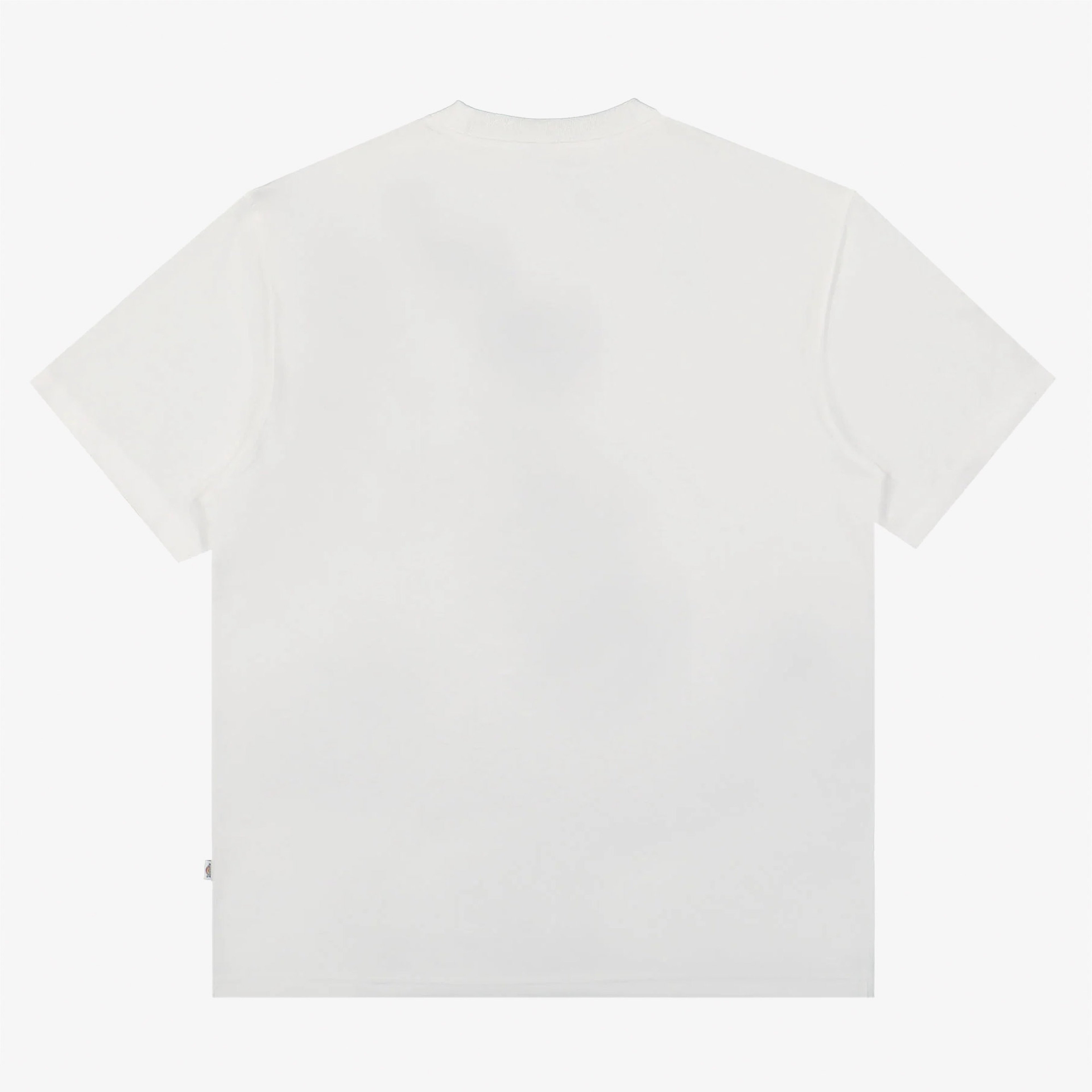 Dickies Summerdale Ss Erkek Beyaz T-Shirt