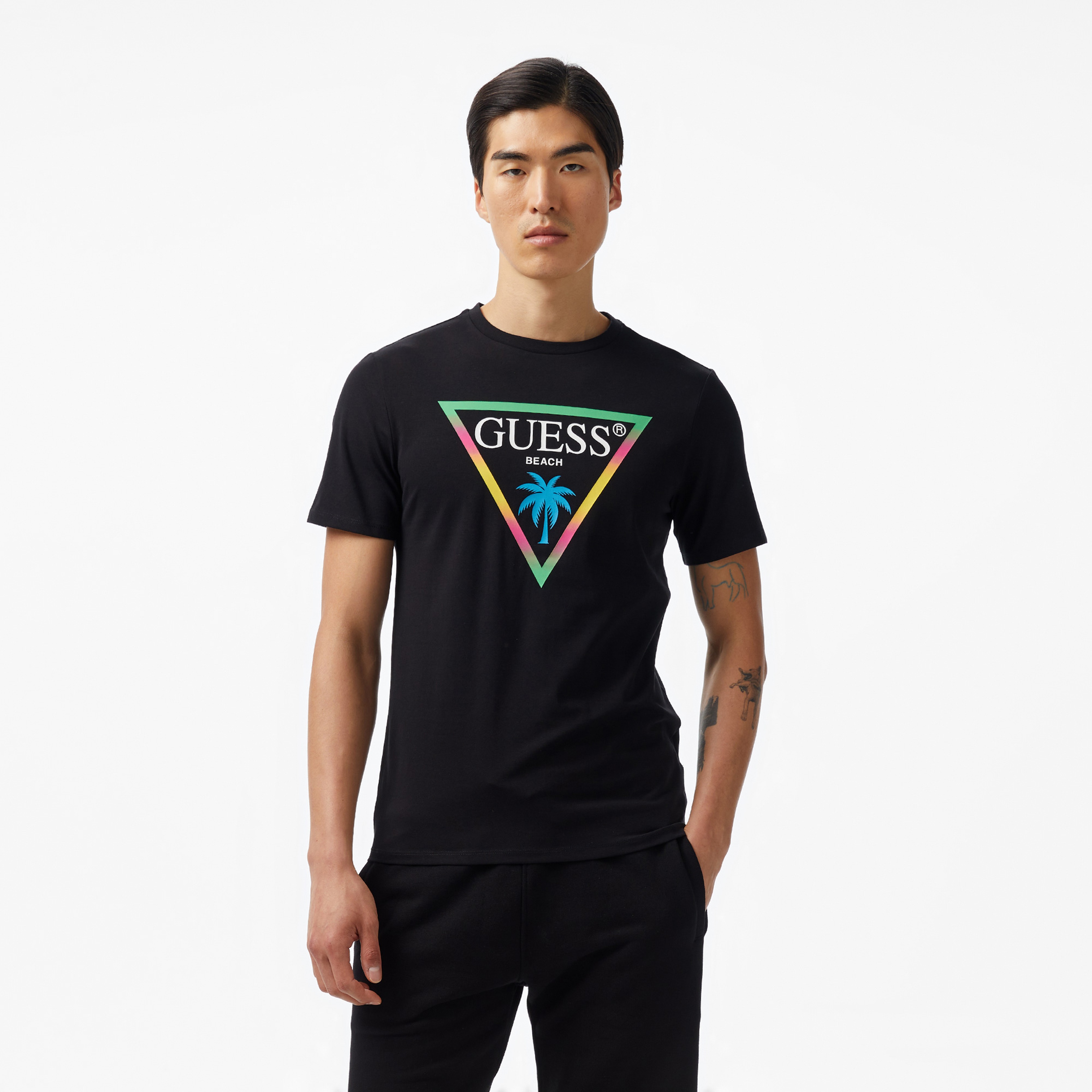 Guess Triangle Palm Mid Organic Stretch 180 Erkek Siyah T-Shirt