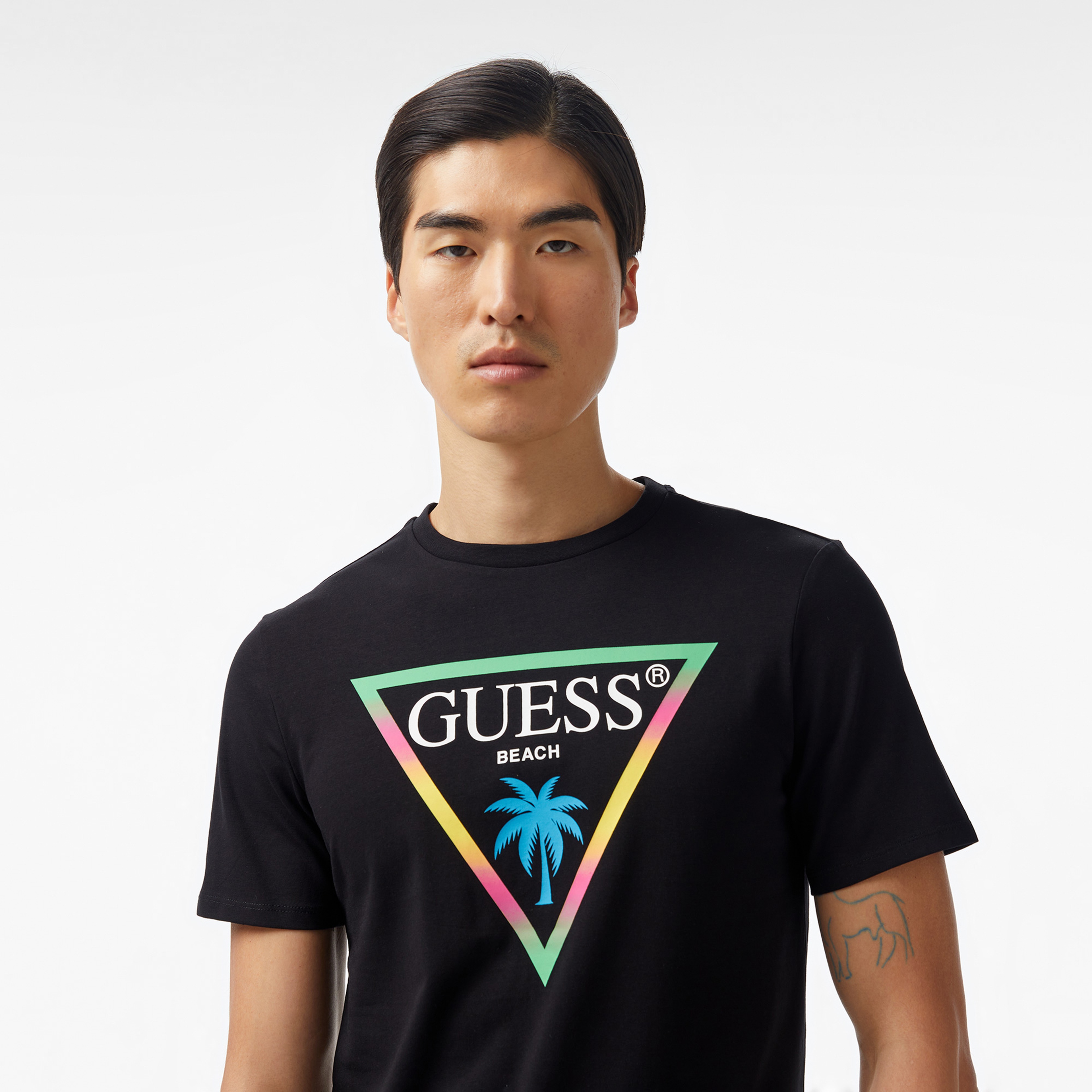 Guess Triangle Palm Mid Organic Stretch 180 Erkek Siyah T-Shirt