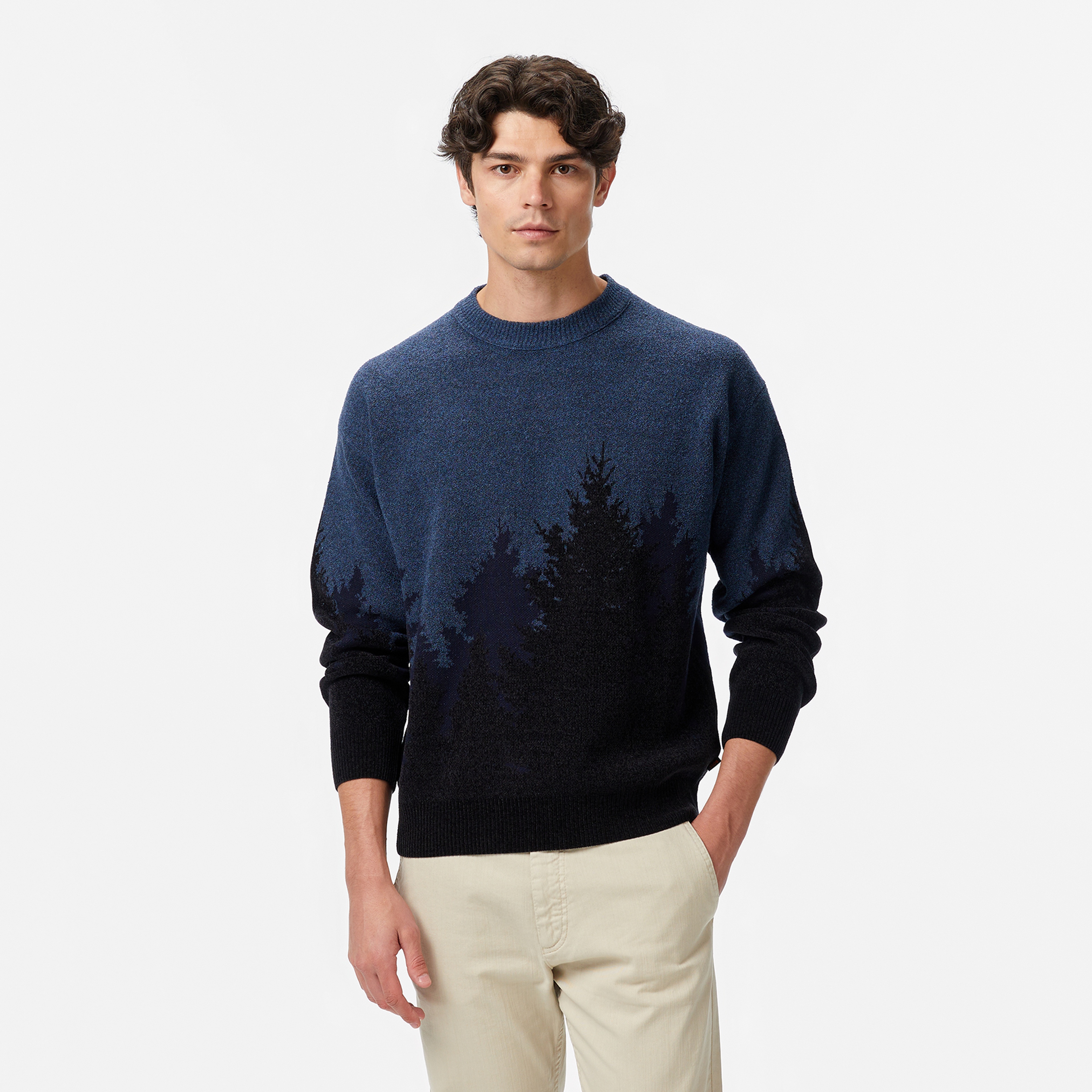 Boss Erkek Mavi Triko