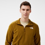 The North Face 100 Glacier 1/4 Zip Erkek Yeşil Ceket