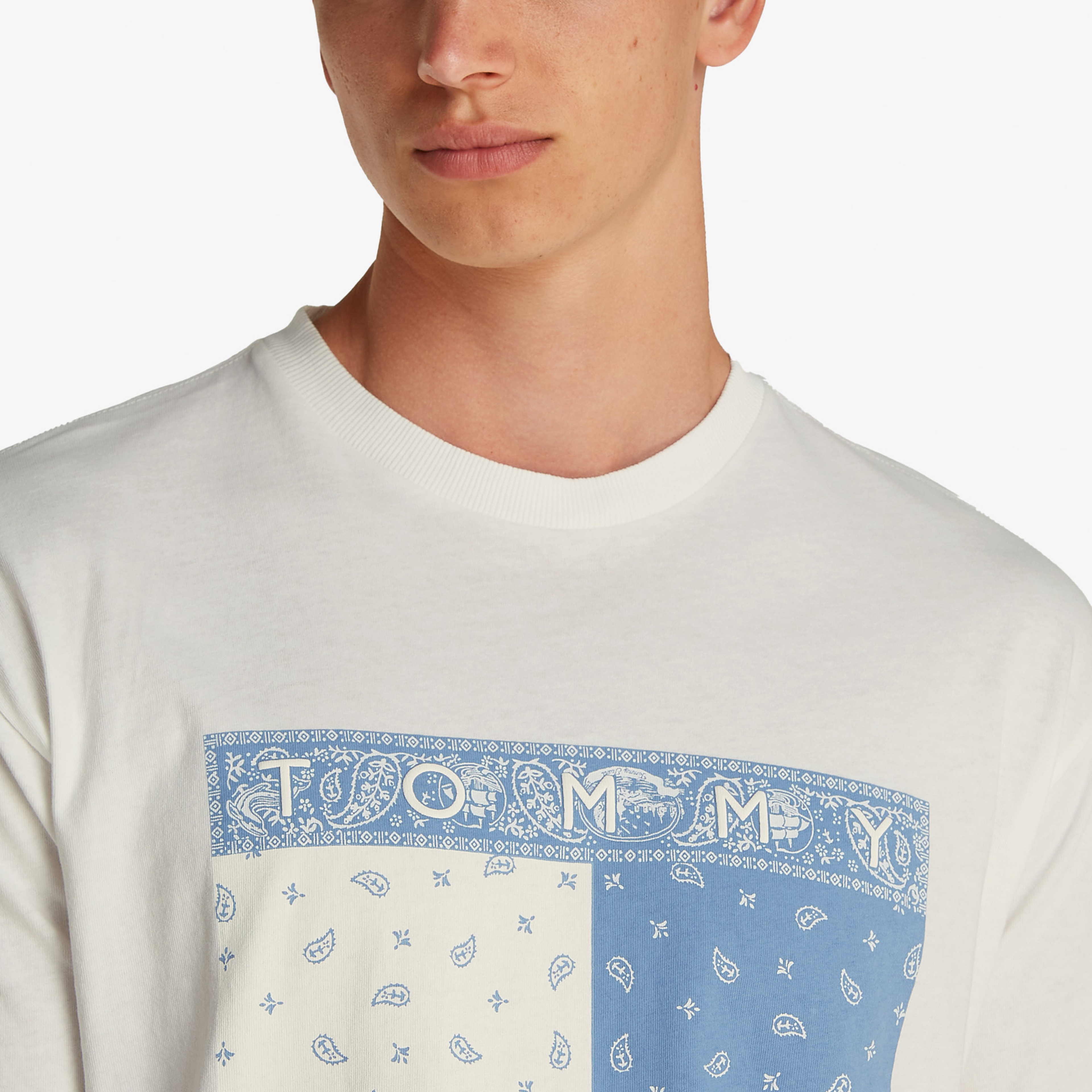Tommy Jeans Relax Paisley Flag Erkek Beyaz T-Shirt