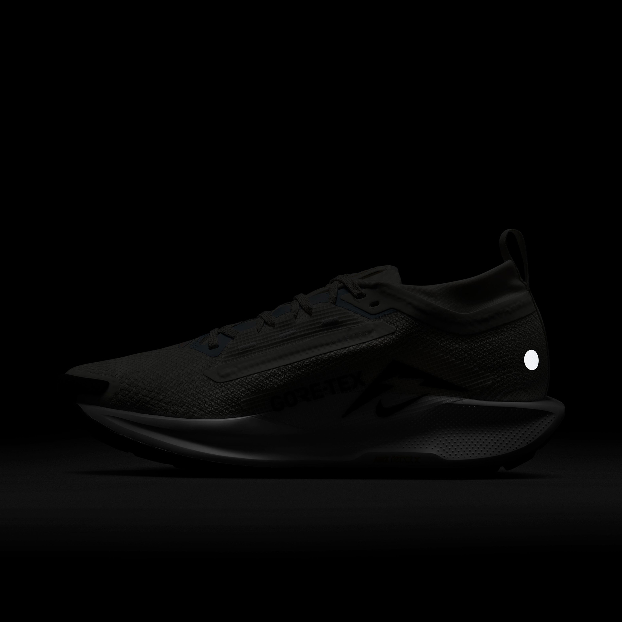 Nike Pegasus Trail 5 Gore-Tex Kadın Bej Koşu Ayakkabısı