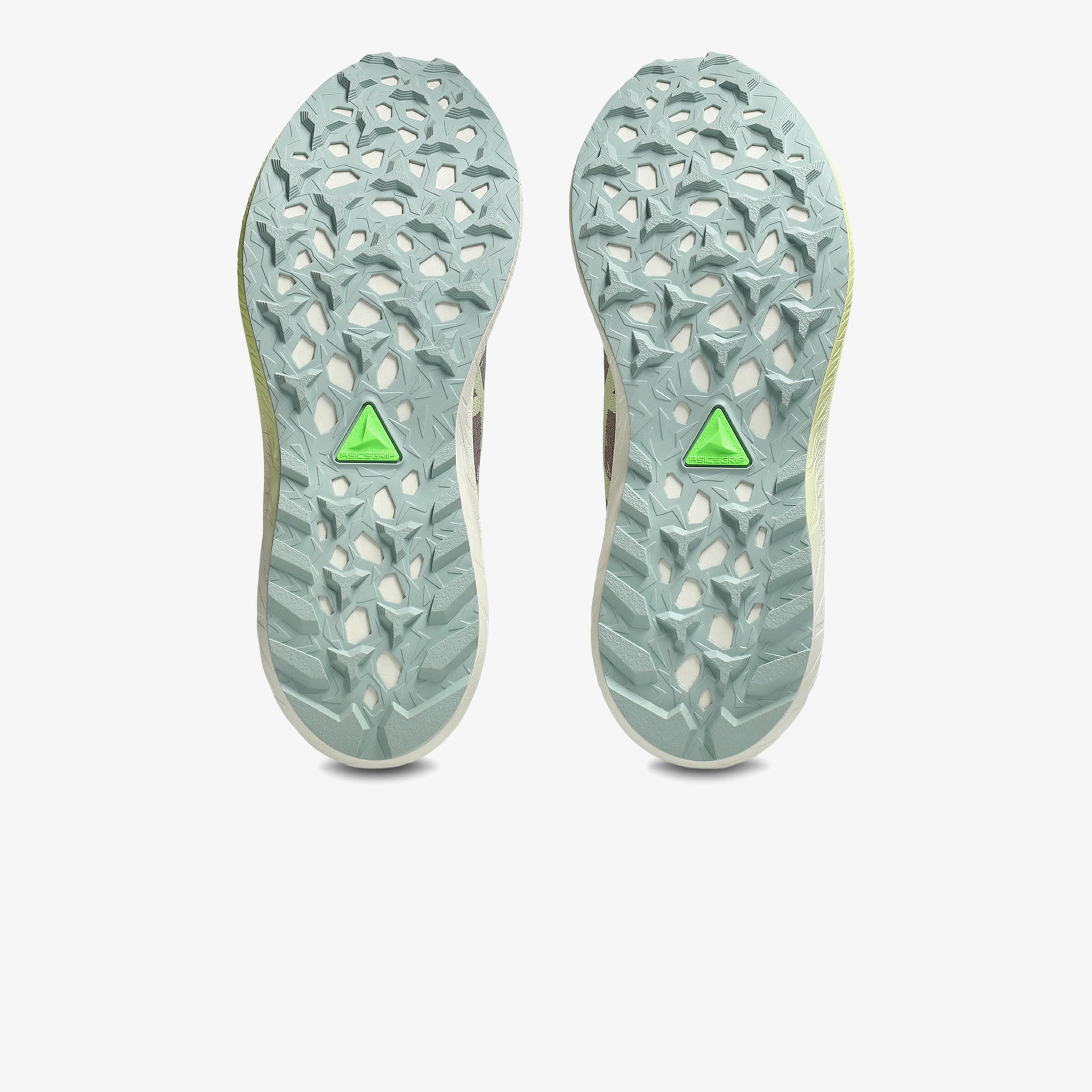 Asics Fuji Lite 5 Kadın Mor Trail Koşu Ayakkabısı