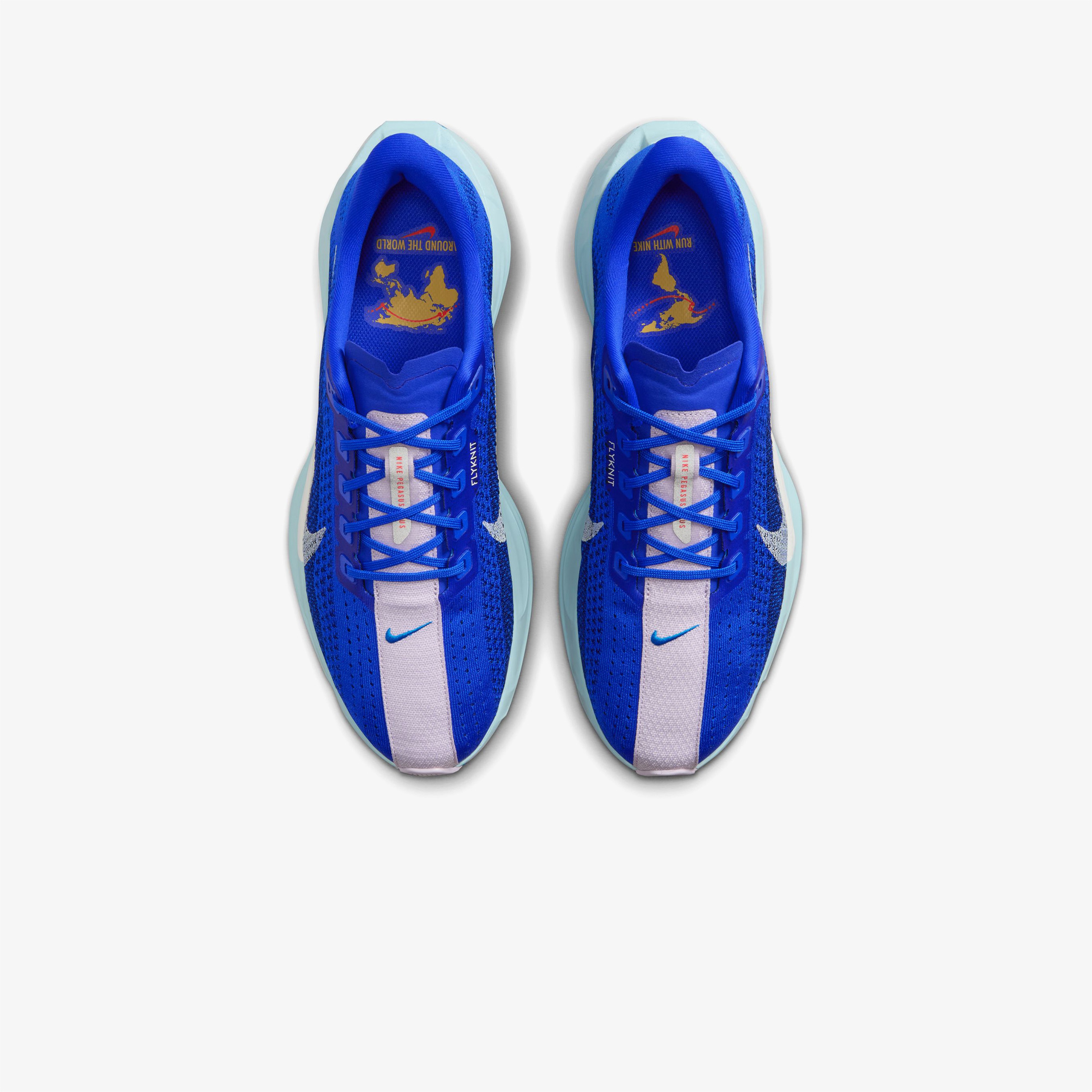 Nike Pegasus Plus Erkek Mavi Koşu Ayakkabısı