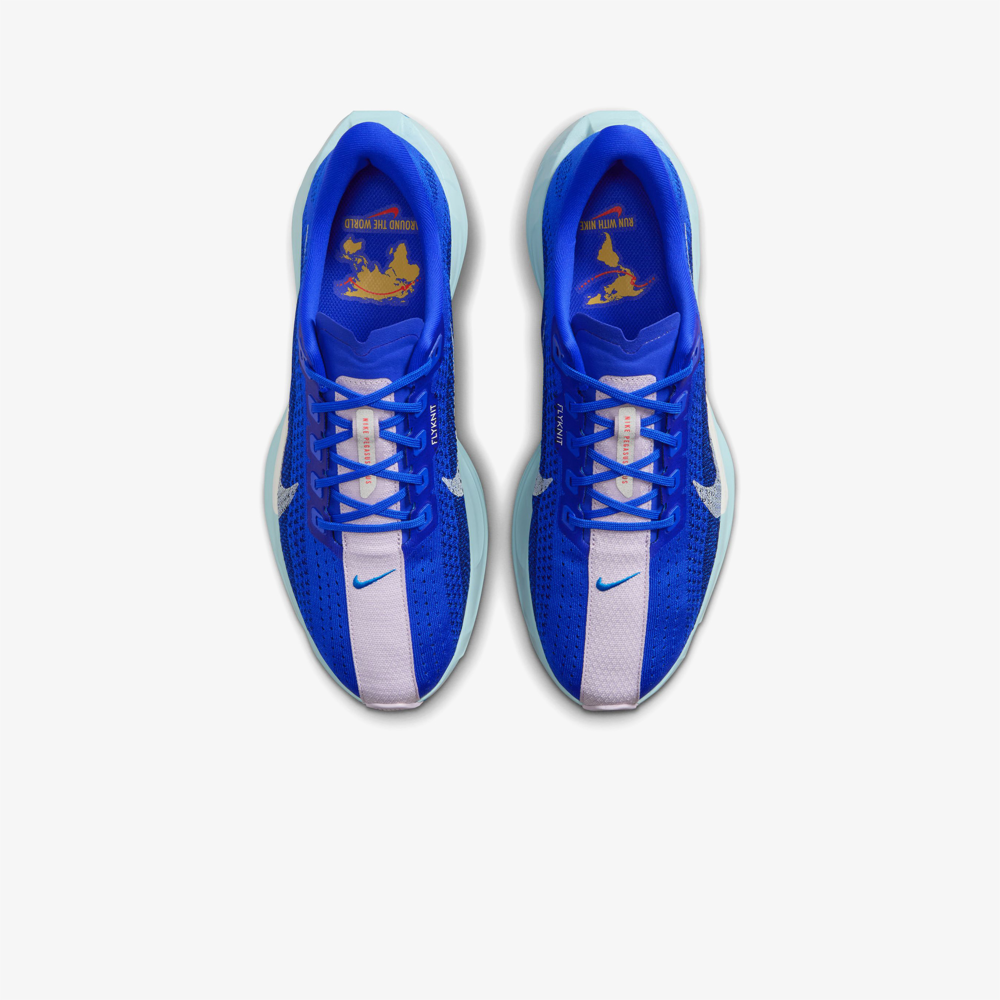 Nike Pegasus Plus Erkek Mavi Koşu Ayakkabısı