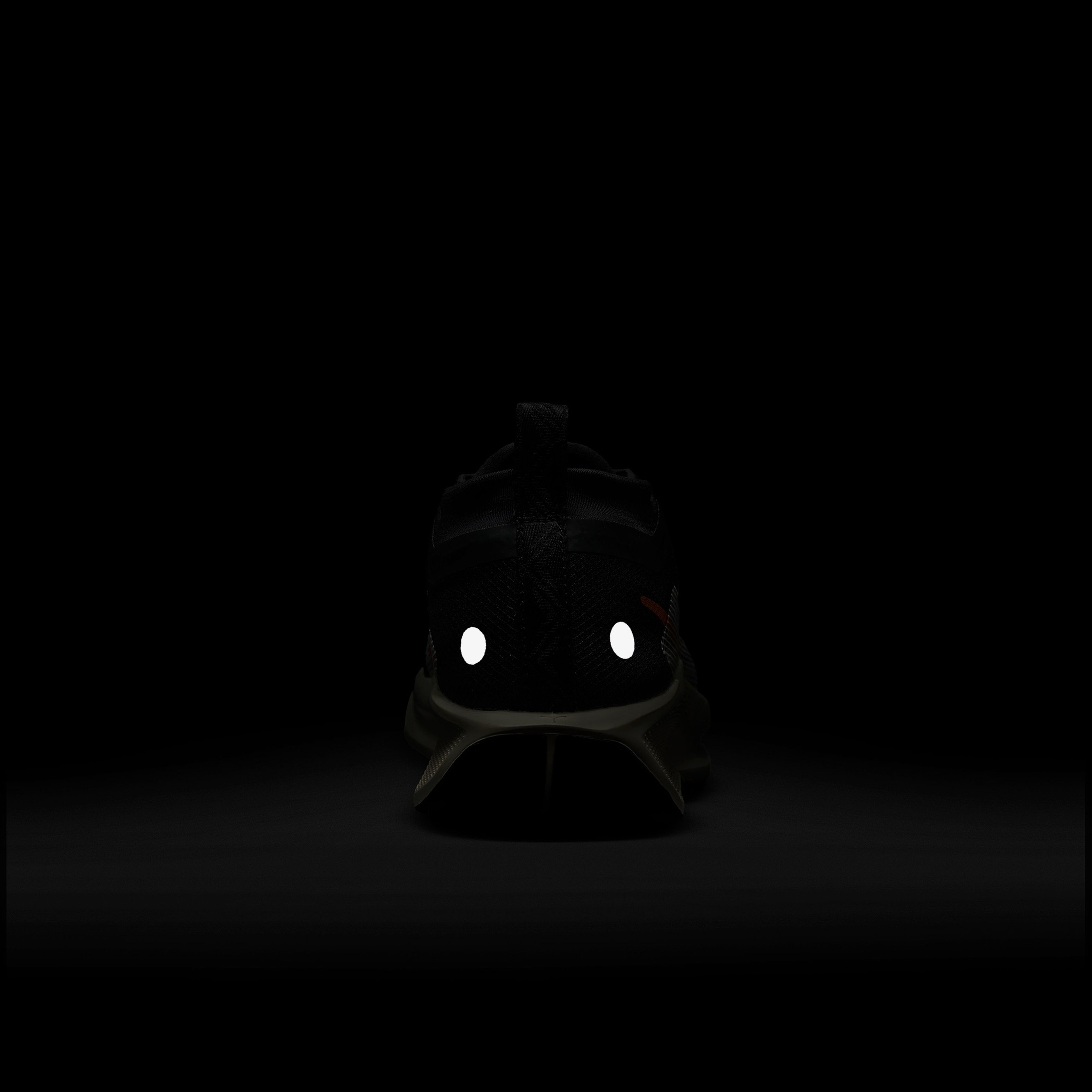 Nike Pegasus Trail 5 Gore-Tex Kadın Siyah Koşu Ayakkabısı