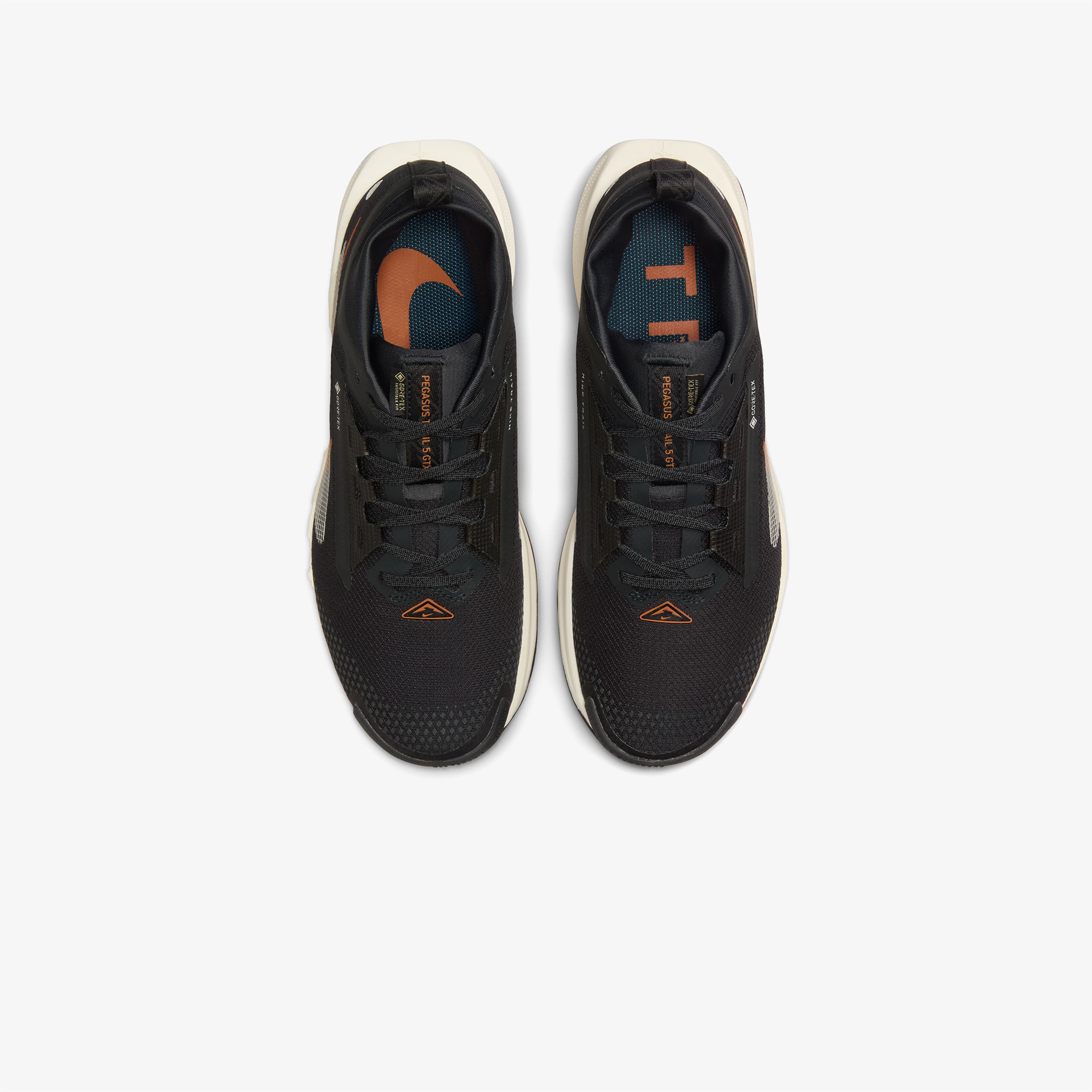 Nike Pegasus Trail 5 Gore-Tex Kadın Siyah Koşu Ayakkabısı
