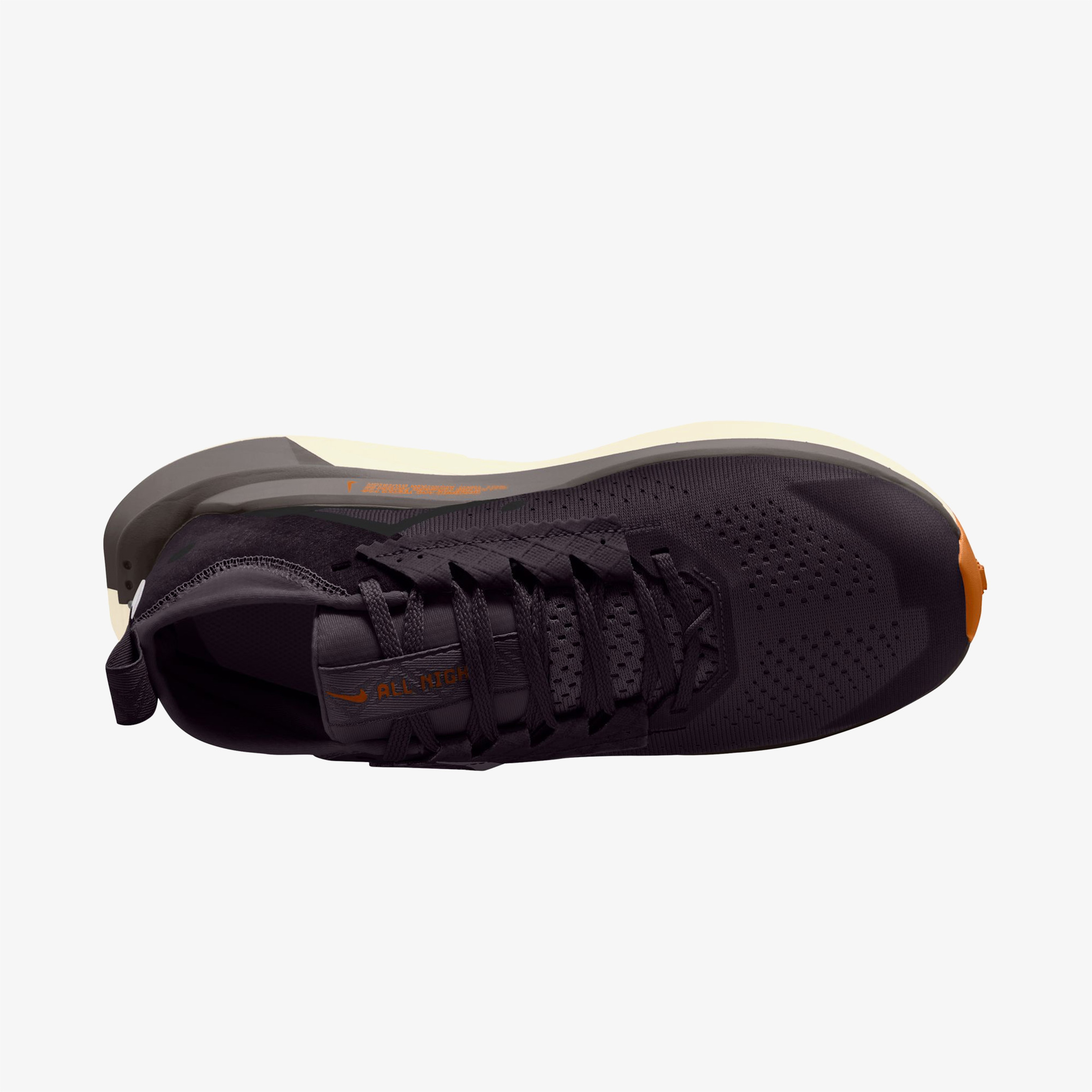 Nike Zegama 2 Kadın Siyah Koşu Ayakkabısı