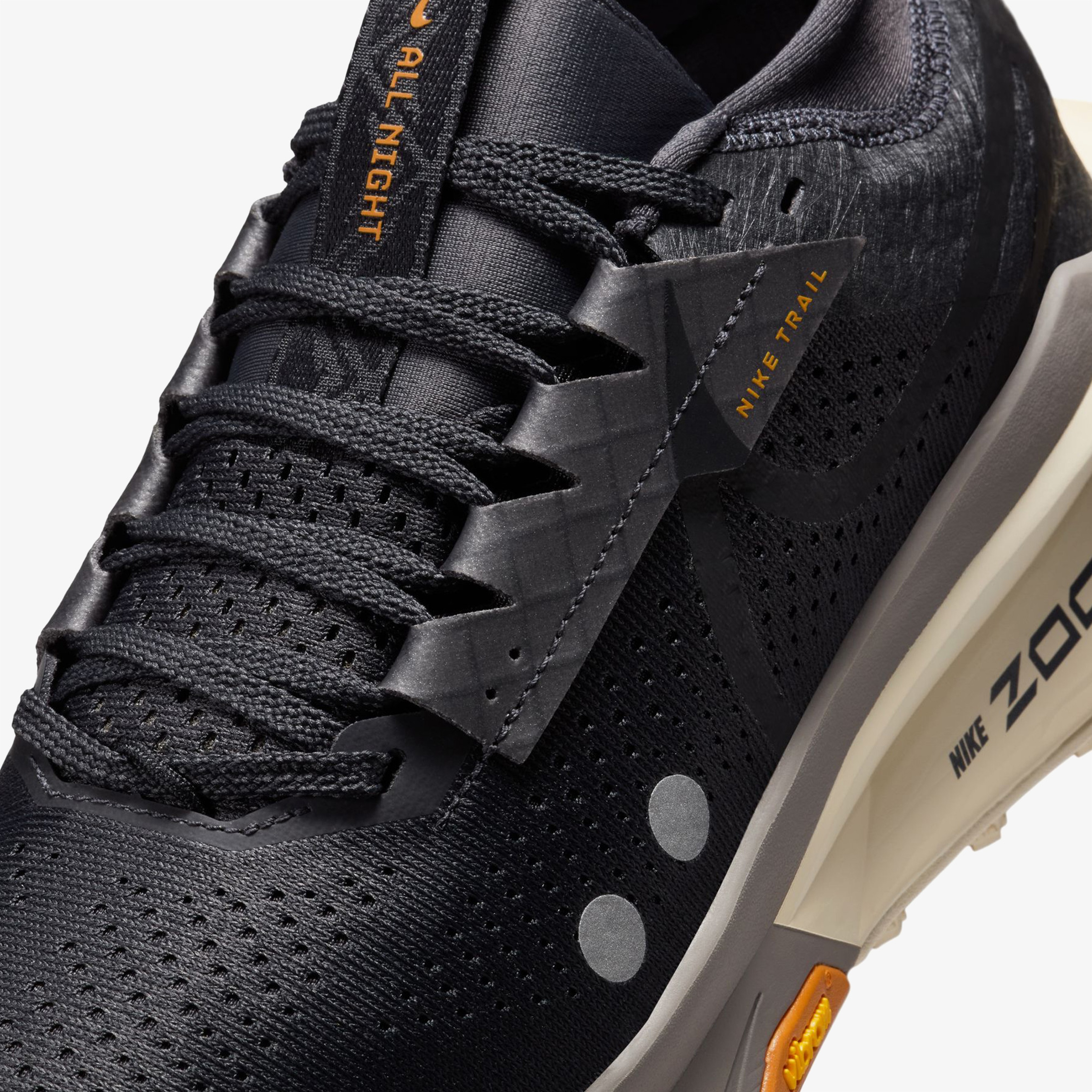 Nike Zegama 2 Kadın Siyah Koşu Ayakkabısı