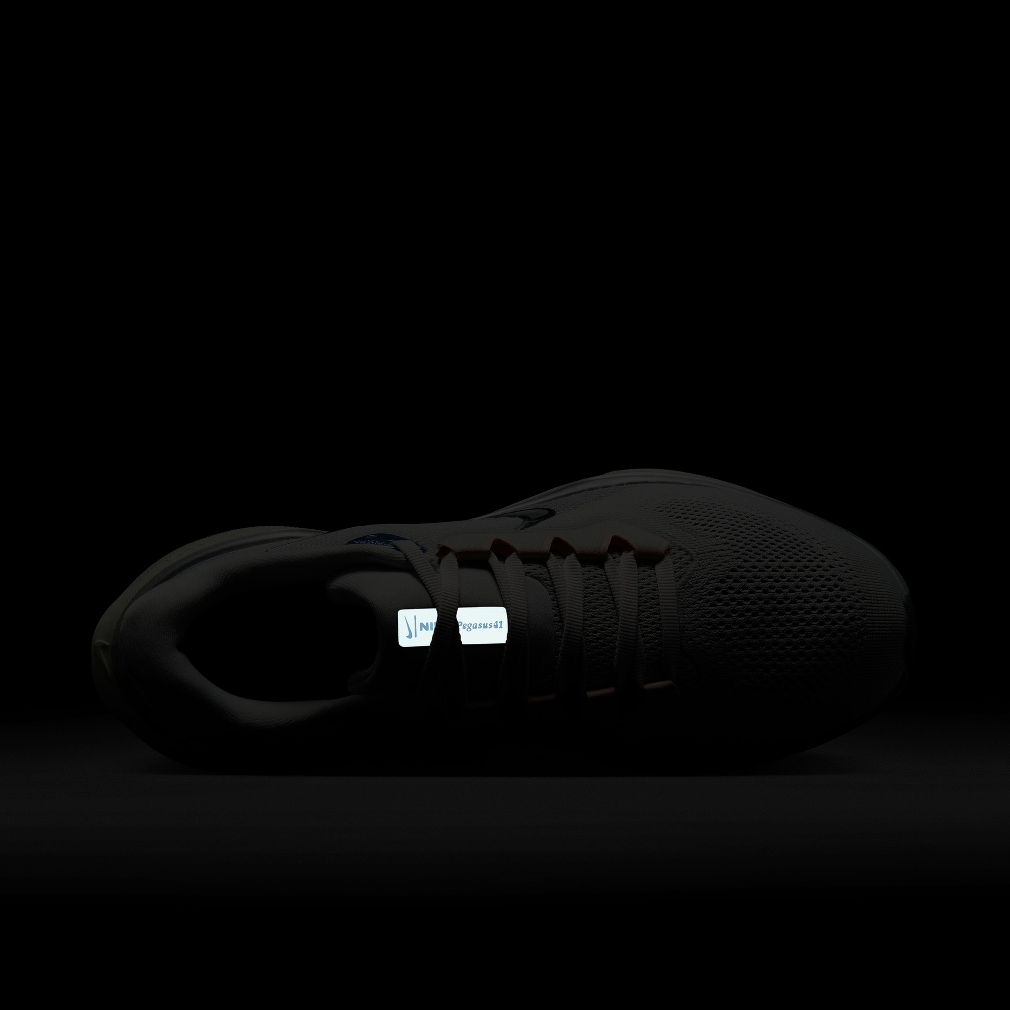 Nike Pegasus 41 Kadın Gri Koşu Ayakkabısı