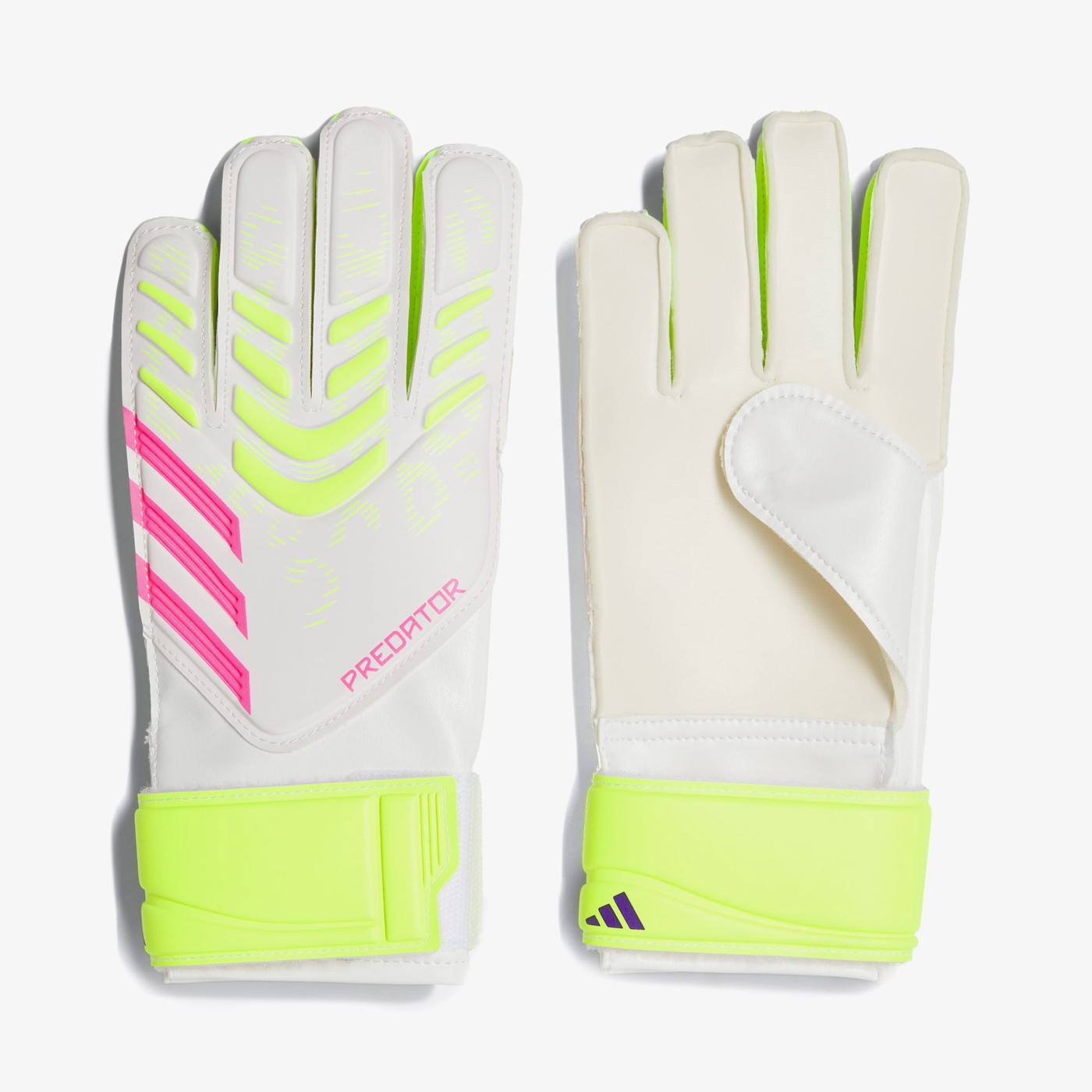 product_detail_image