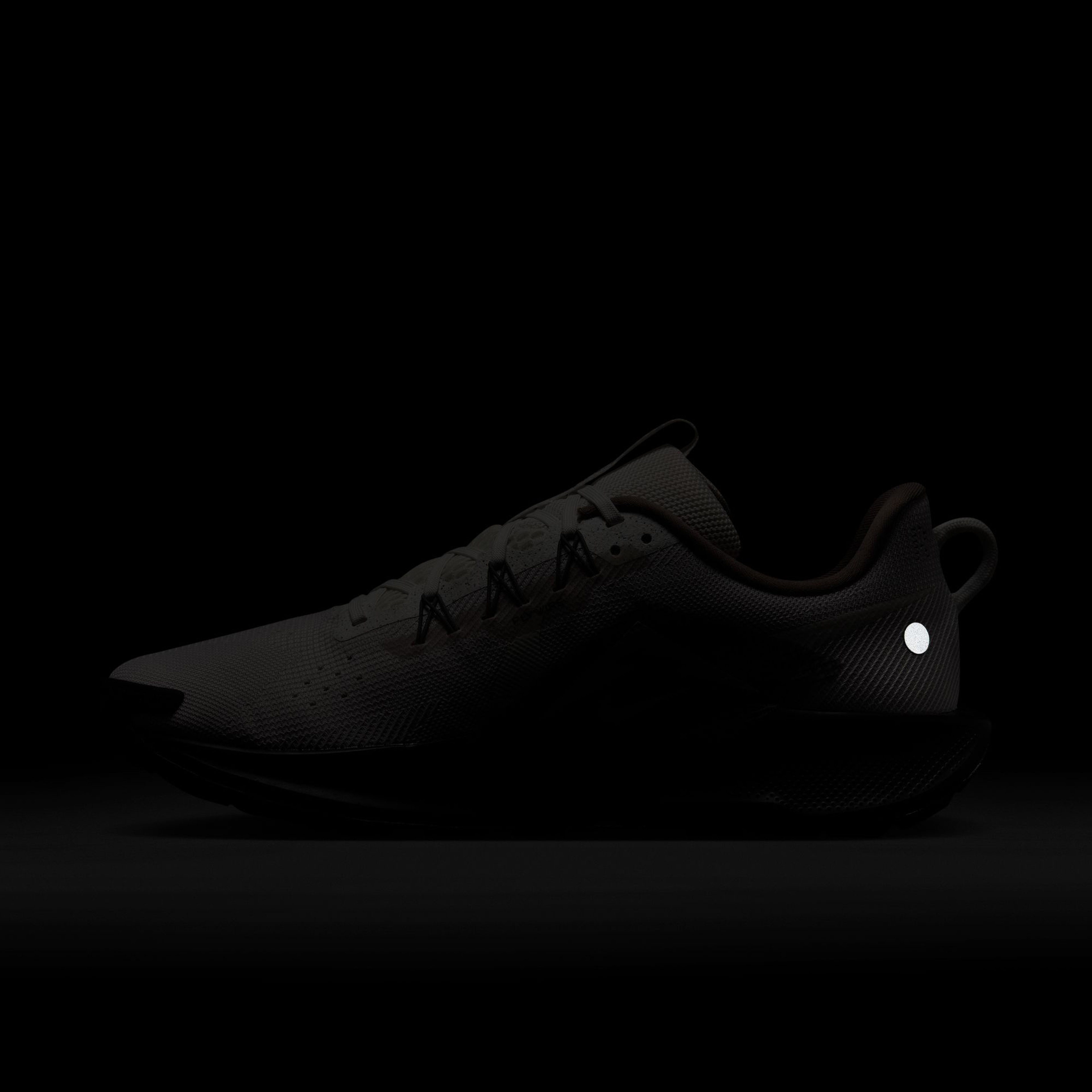 Nike Pegasus Trail 5 Erkek Gri Koşu Ayakkabısı