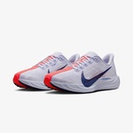 Nike Pegasus Plus Kadın Mor Koşu Ayakkabısı