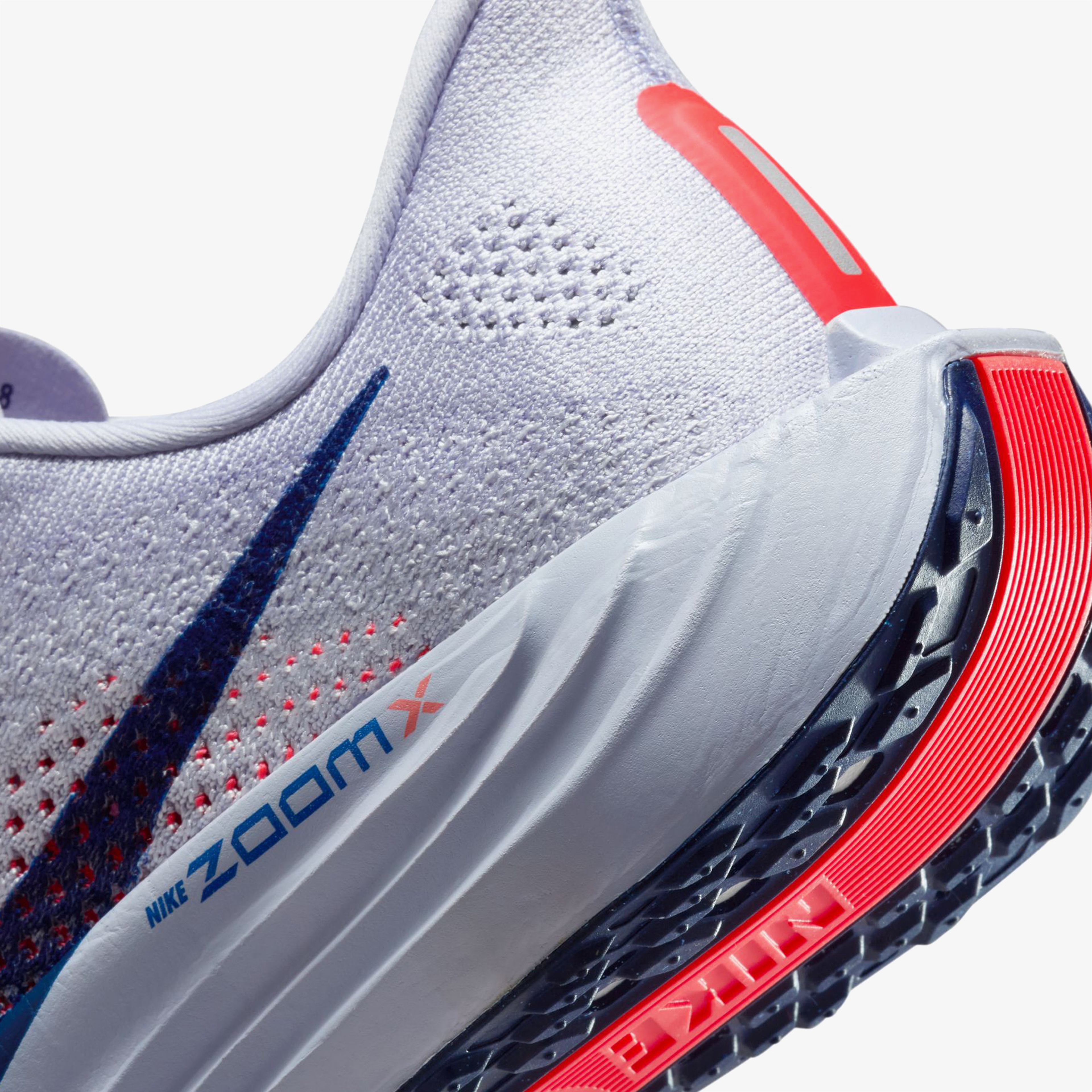 Nike Pegasus Plus Kadın Mor Koşu Ayakkabısı