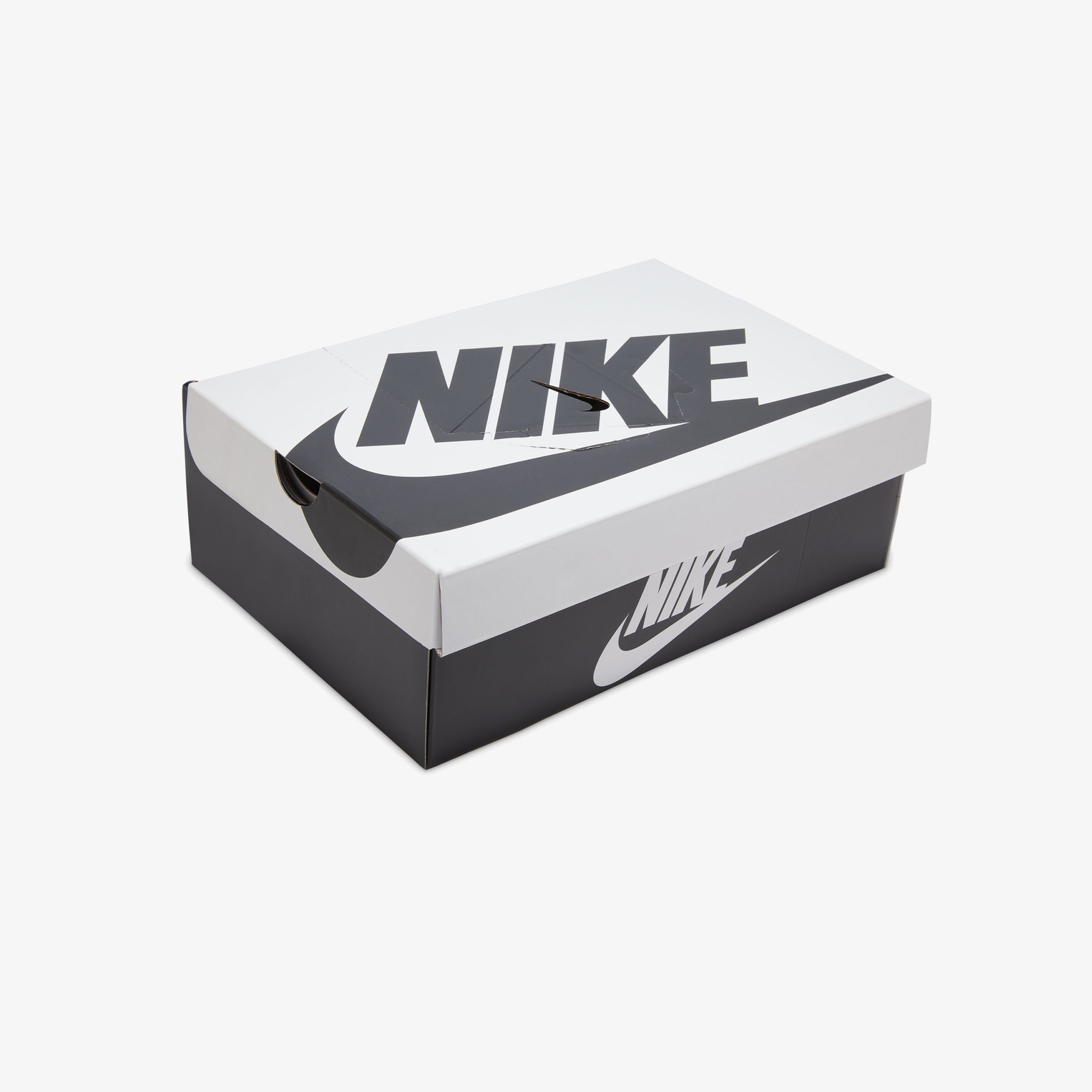 Nike Dunk Low Retro SE Erkek Beyaz Spor Ayakkabı