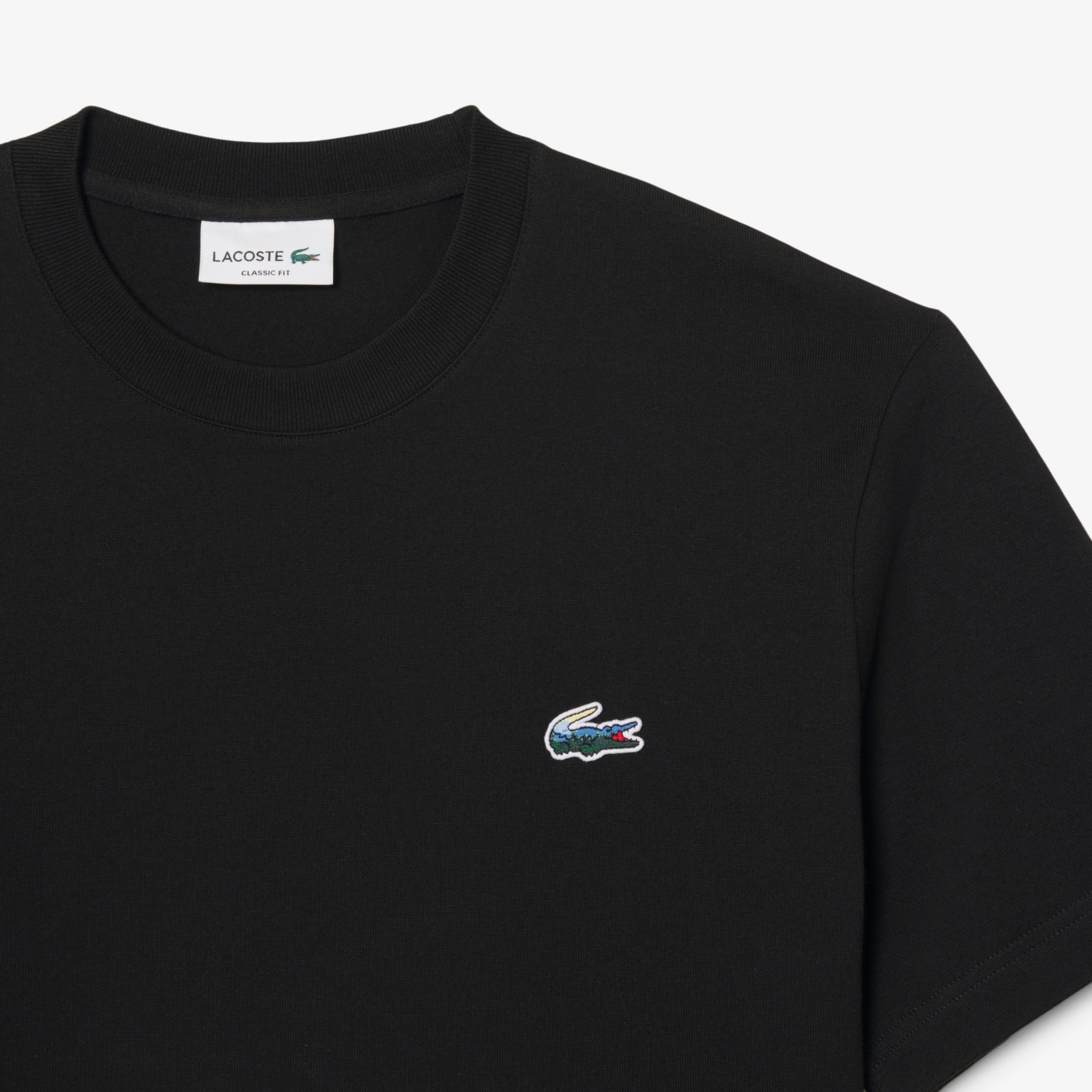 Erkek Classic Fit Bisiklet Yaka Siyah T-Shirt