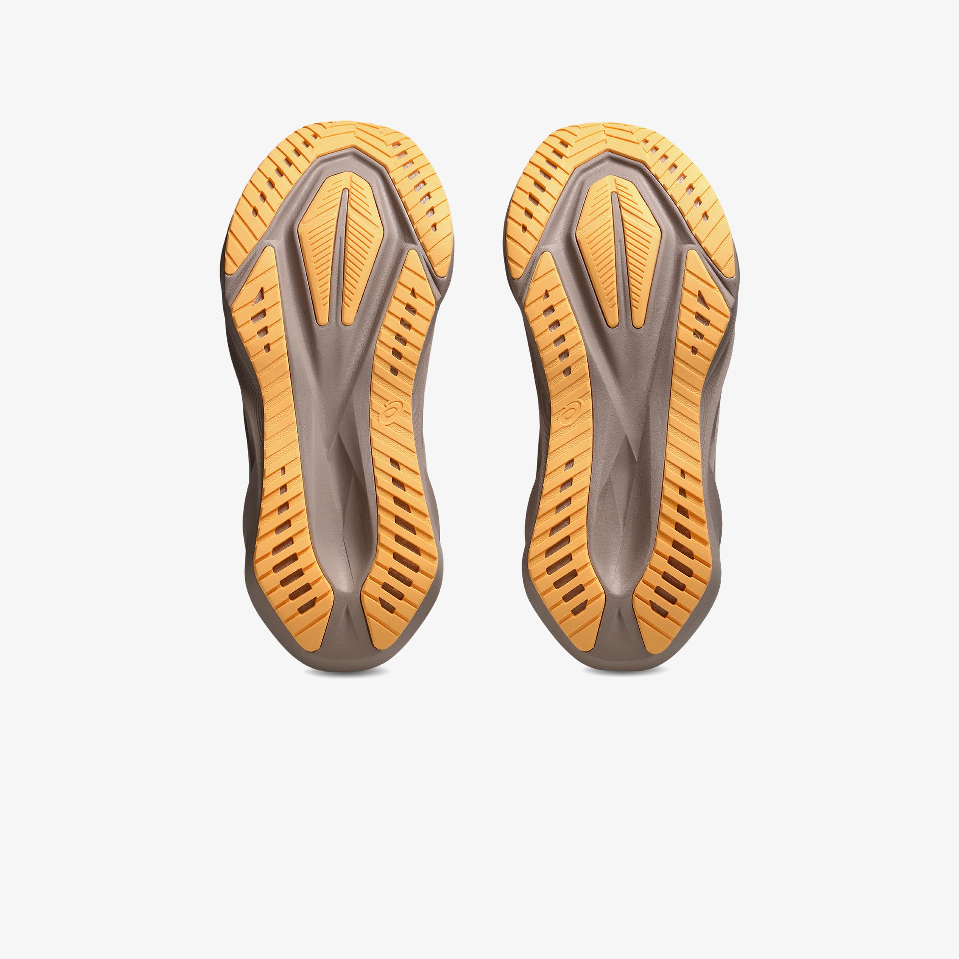 Asics Novablast 5 Kadın Beyaz Koşu Ayakkabısı