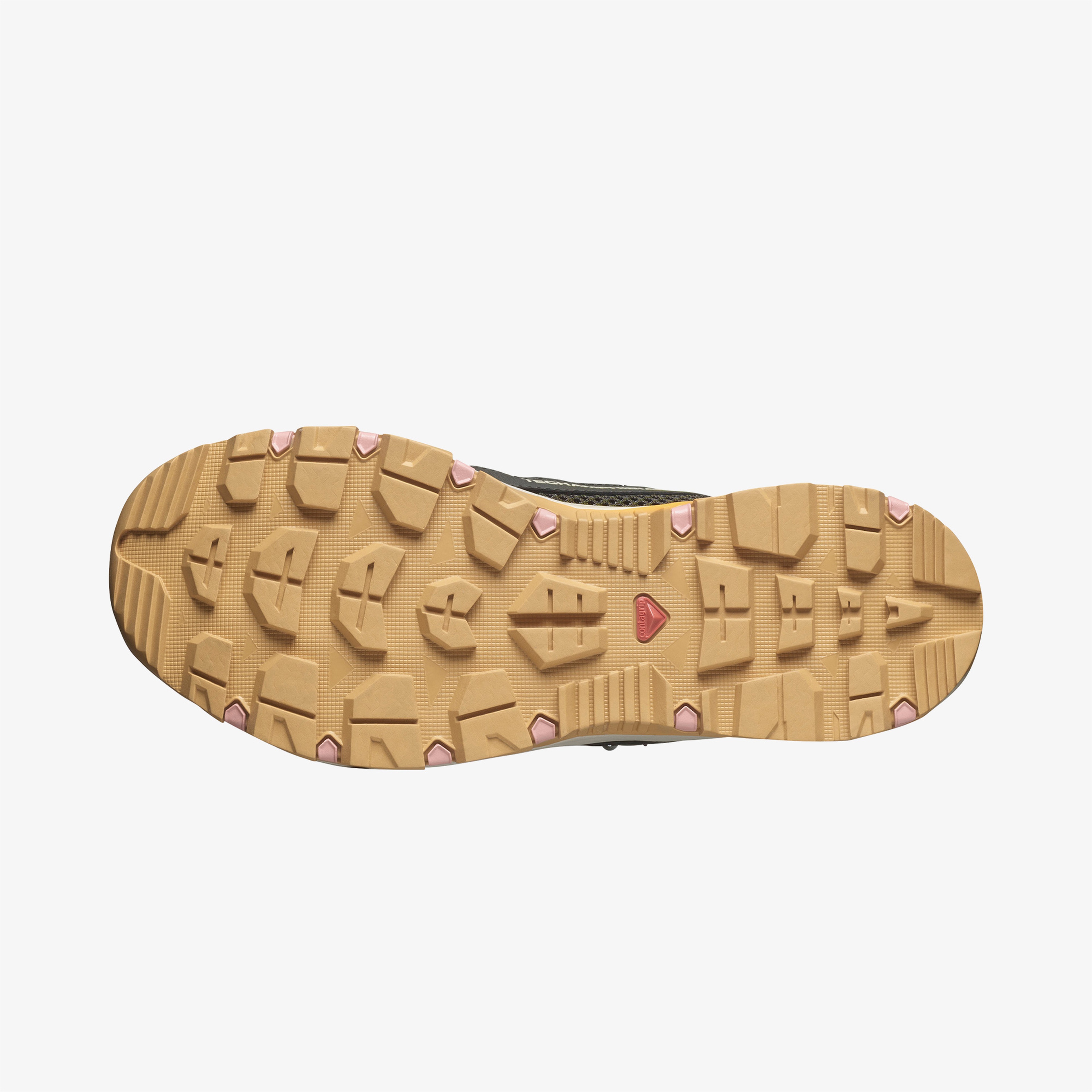 Salomon Techamphibian 5 Kadın Siyah Sandalet