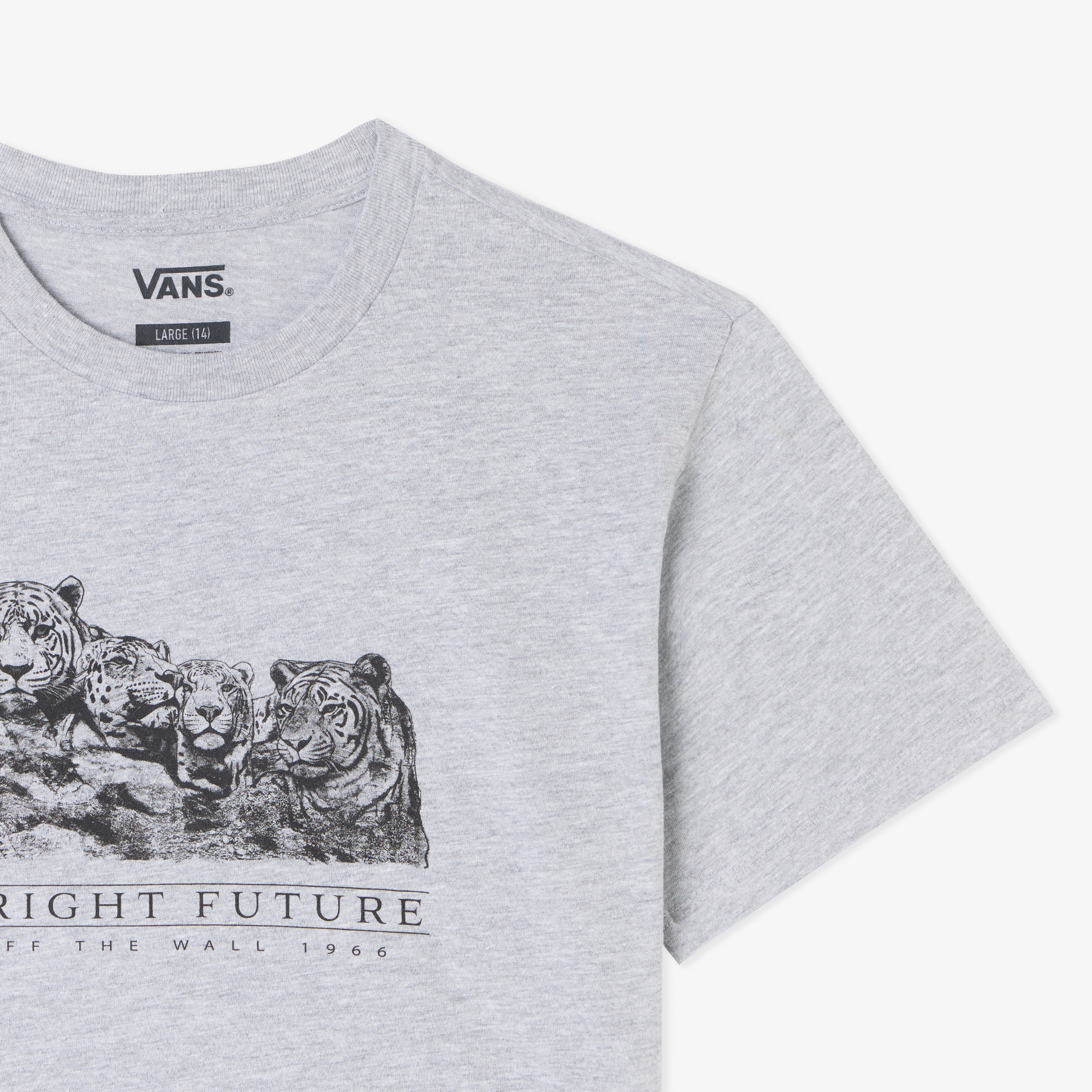 Vans Bright Future Relaxed Crop Ss Çocuk Gri T-Shirt