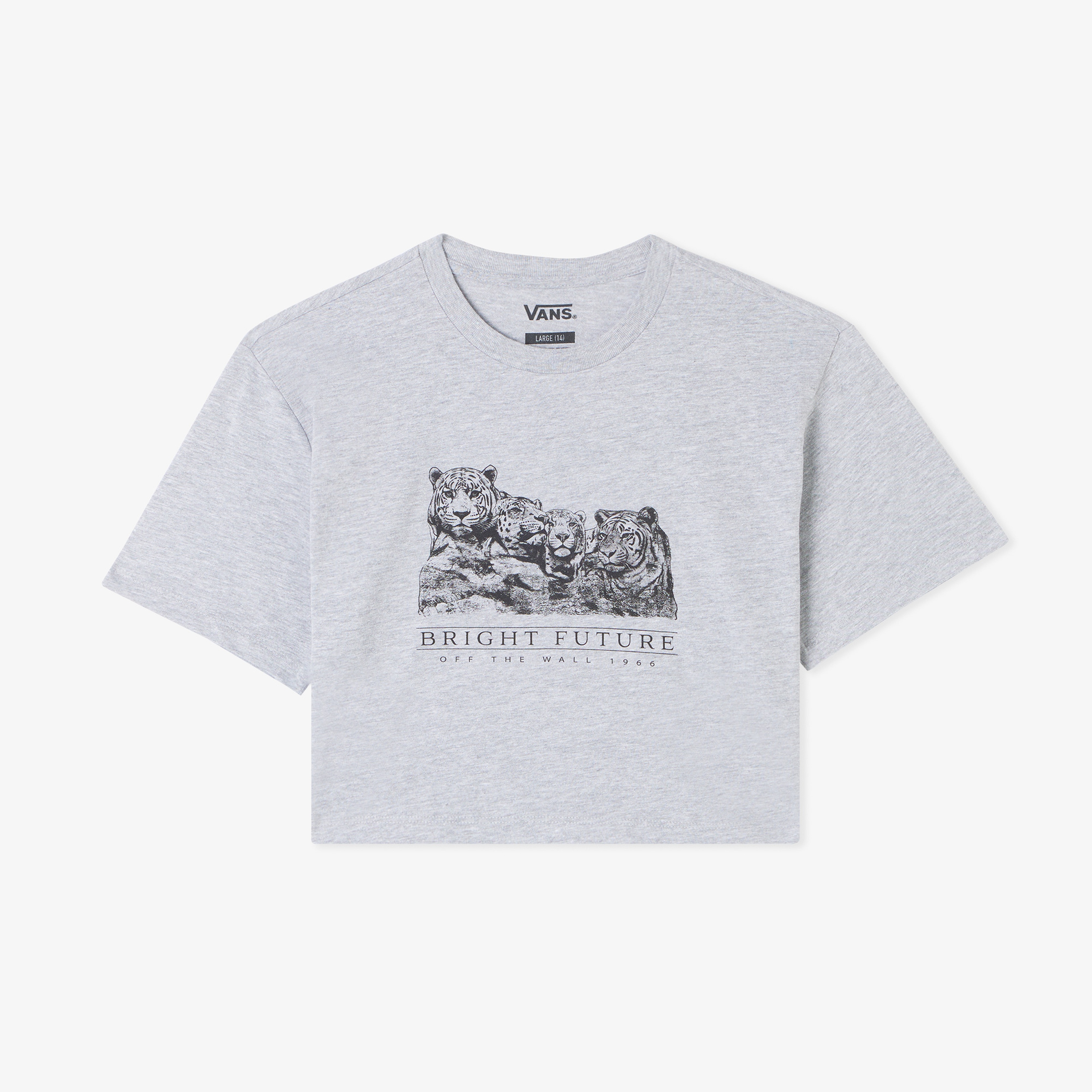 Vans Bright Future Relaxed Crop Ss Çocuk Gri T-Shirt