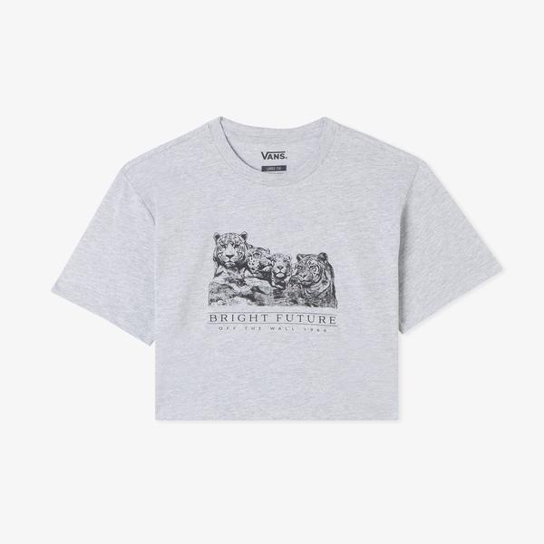 Vans Bright Future Relaxed Crop Ss Çocuk Gri T-Shirt