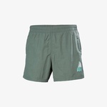 Helly Hansen Cascais Erkek Gri Deniz Şortu