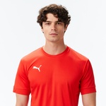 Puma Türkiye Voleybol Milli Takım Erkek Kırmızı Voleybol Forması