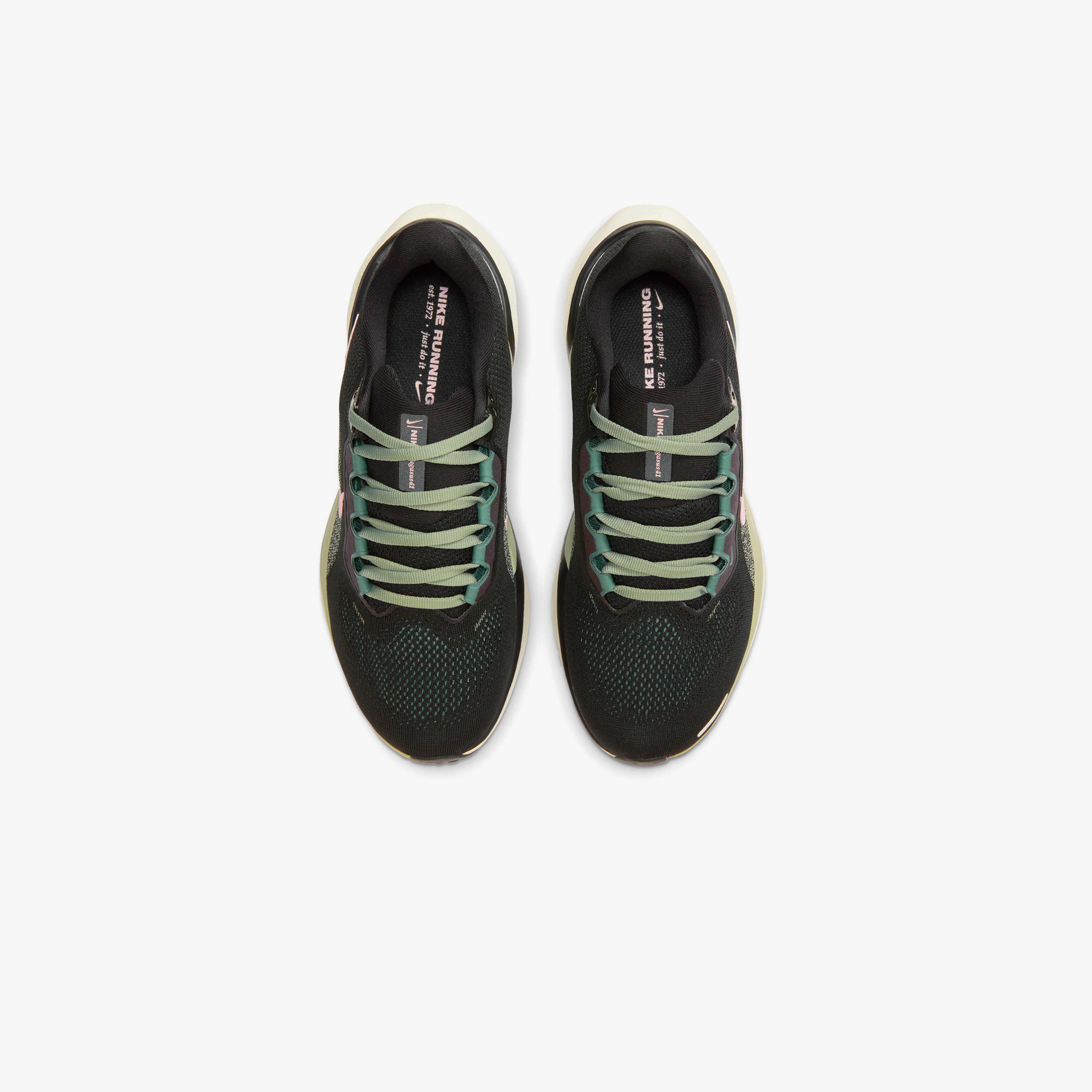 Nike Pegasus 41 Kadın Siyah Spor Ayakkabı