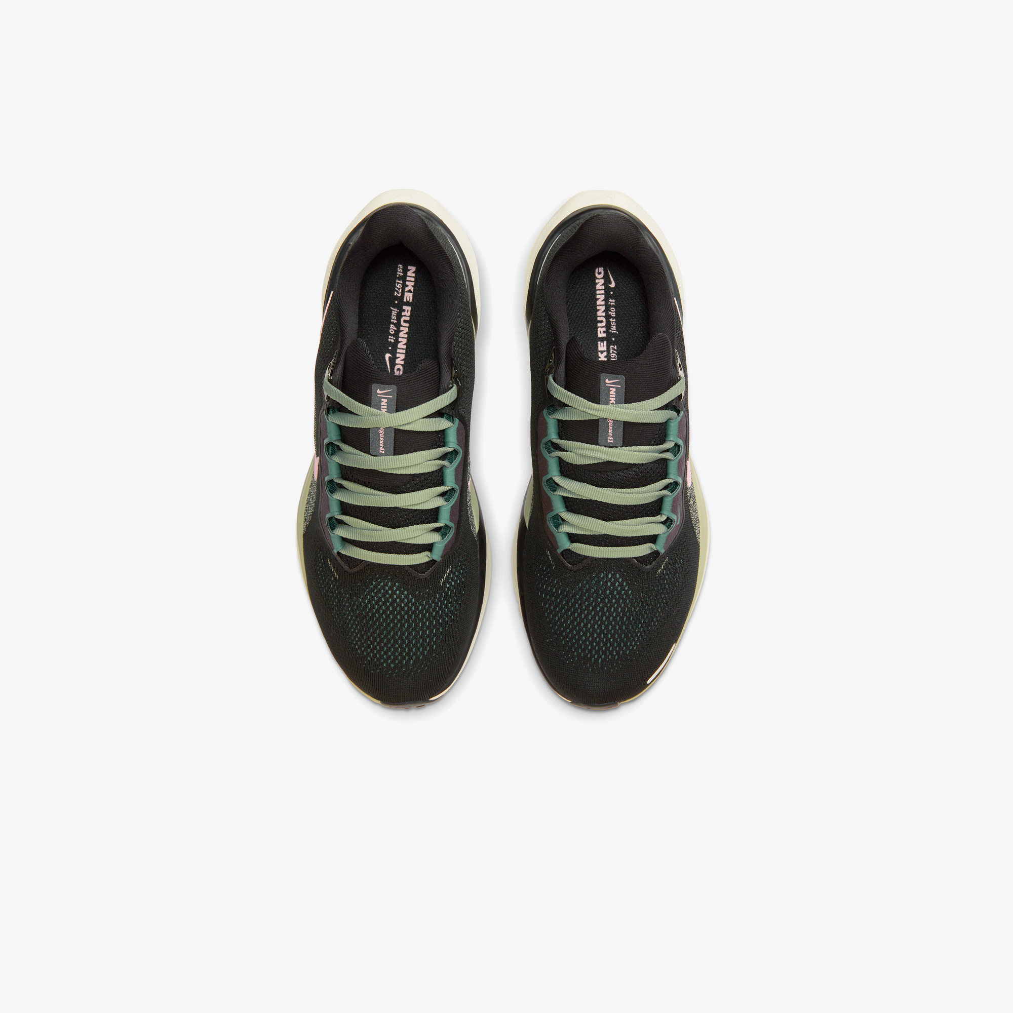 Nike Pegasus 41 Kadın Siyah Spor Ayakkabı