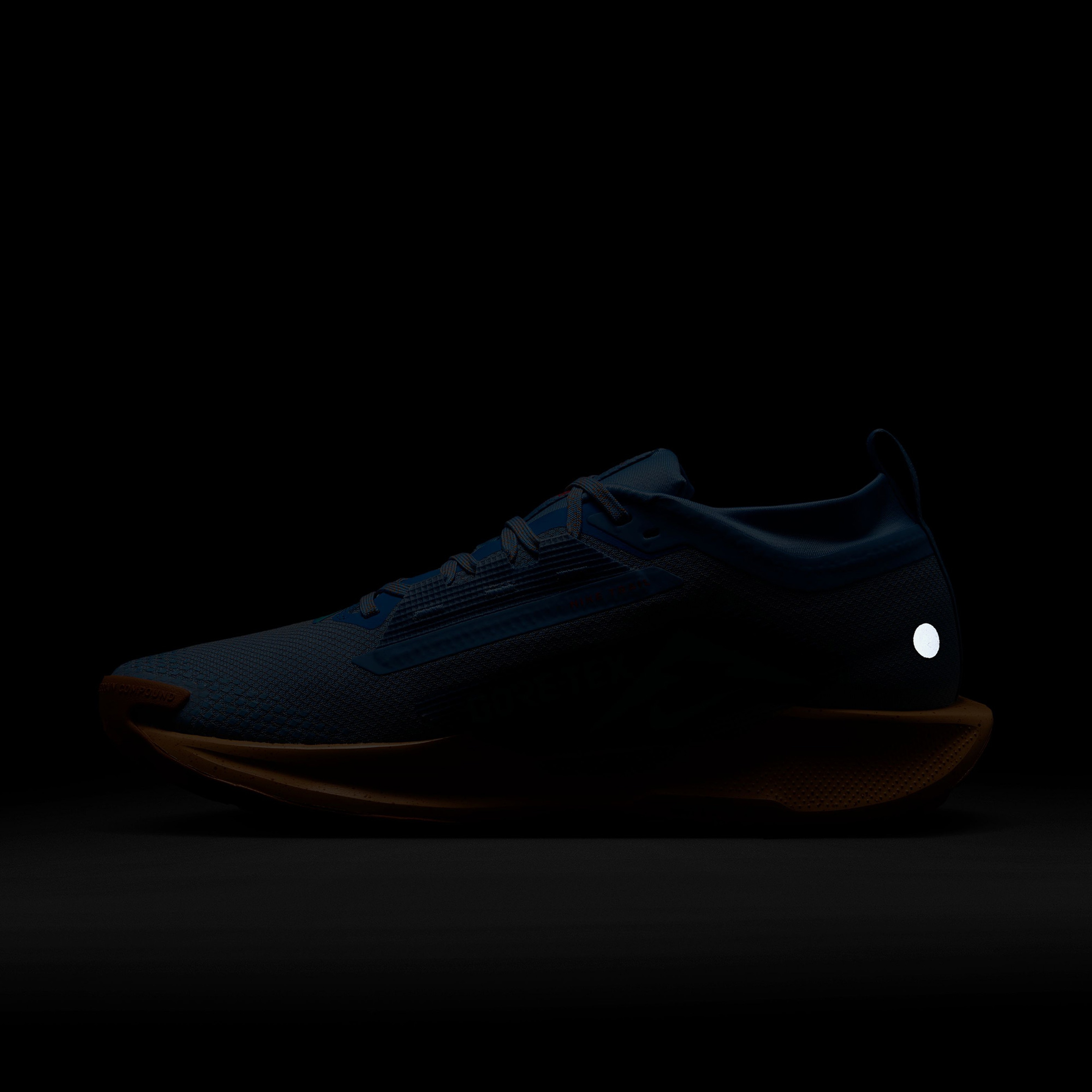 Nike Pegasus Trail 5 Gore-Tex Erkek Mavi Koşu Ayakkabısı