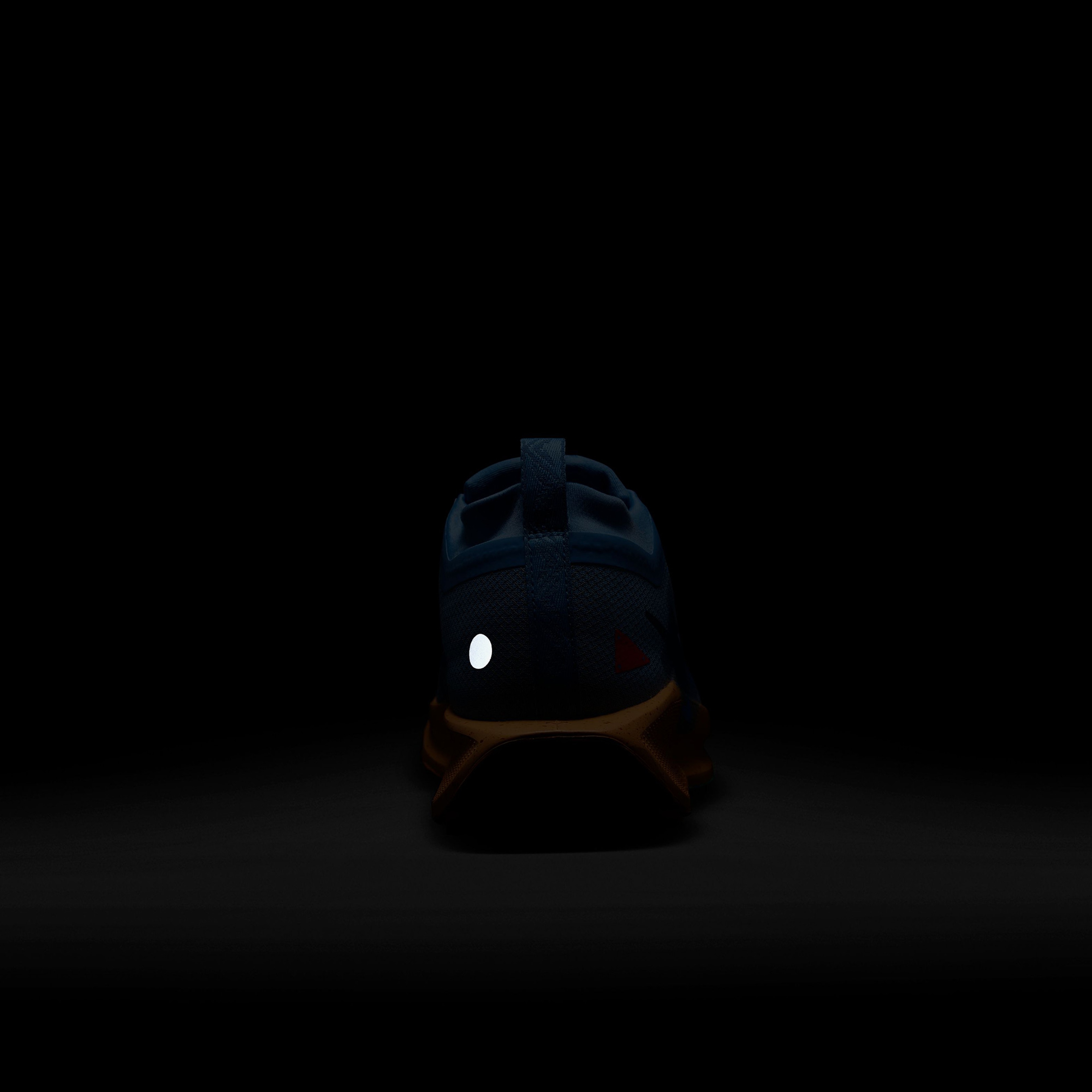 Nike Pegasus Trail 5 Gore-Tex Erkek Mavi Koşu Ayakkabısı