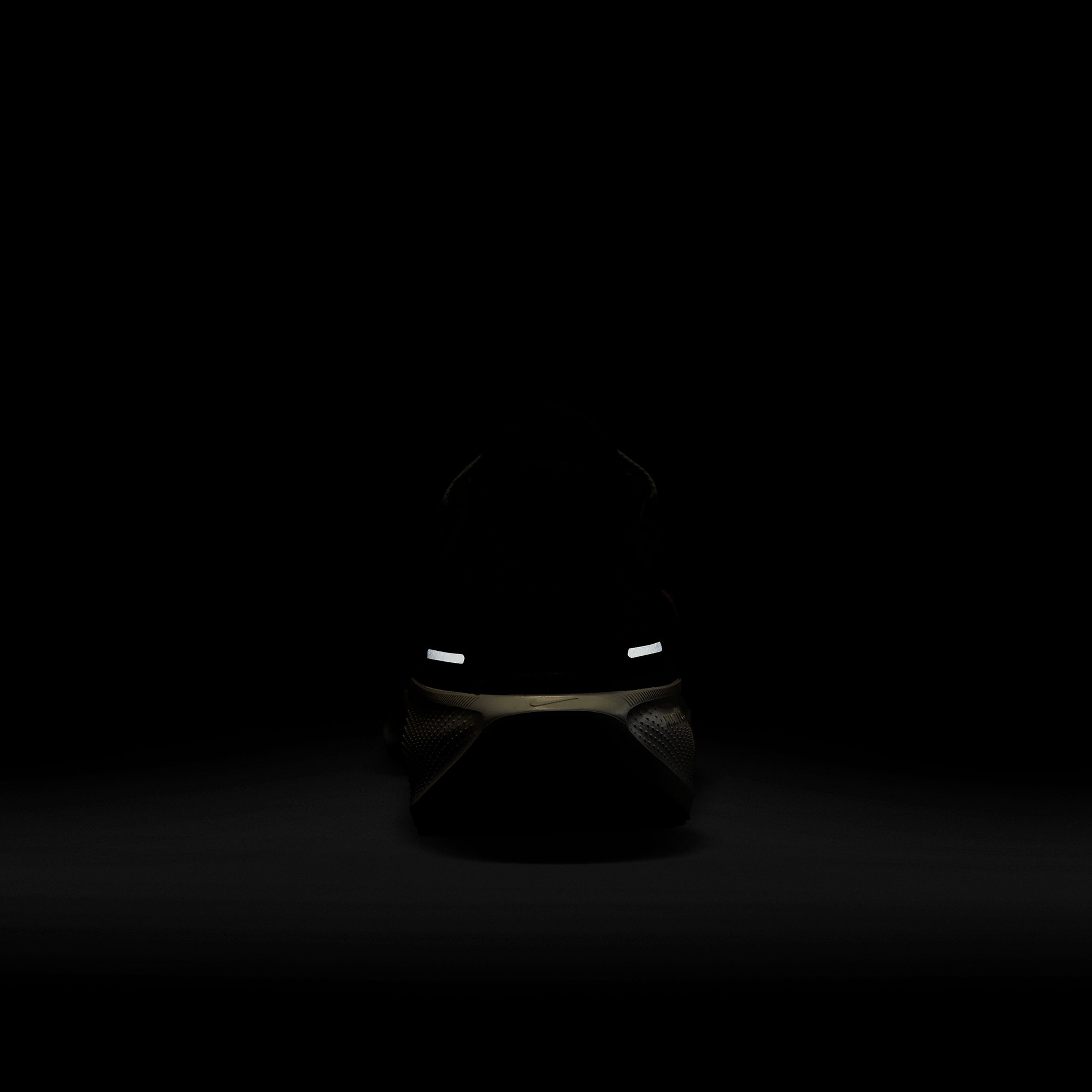 Nike Pegasus 41 Kadın Siyah Spor Ayakkabı