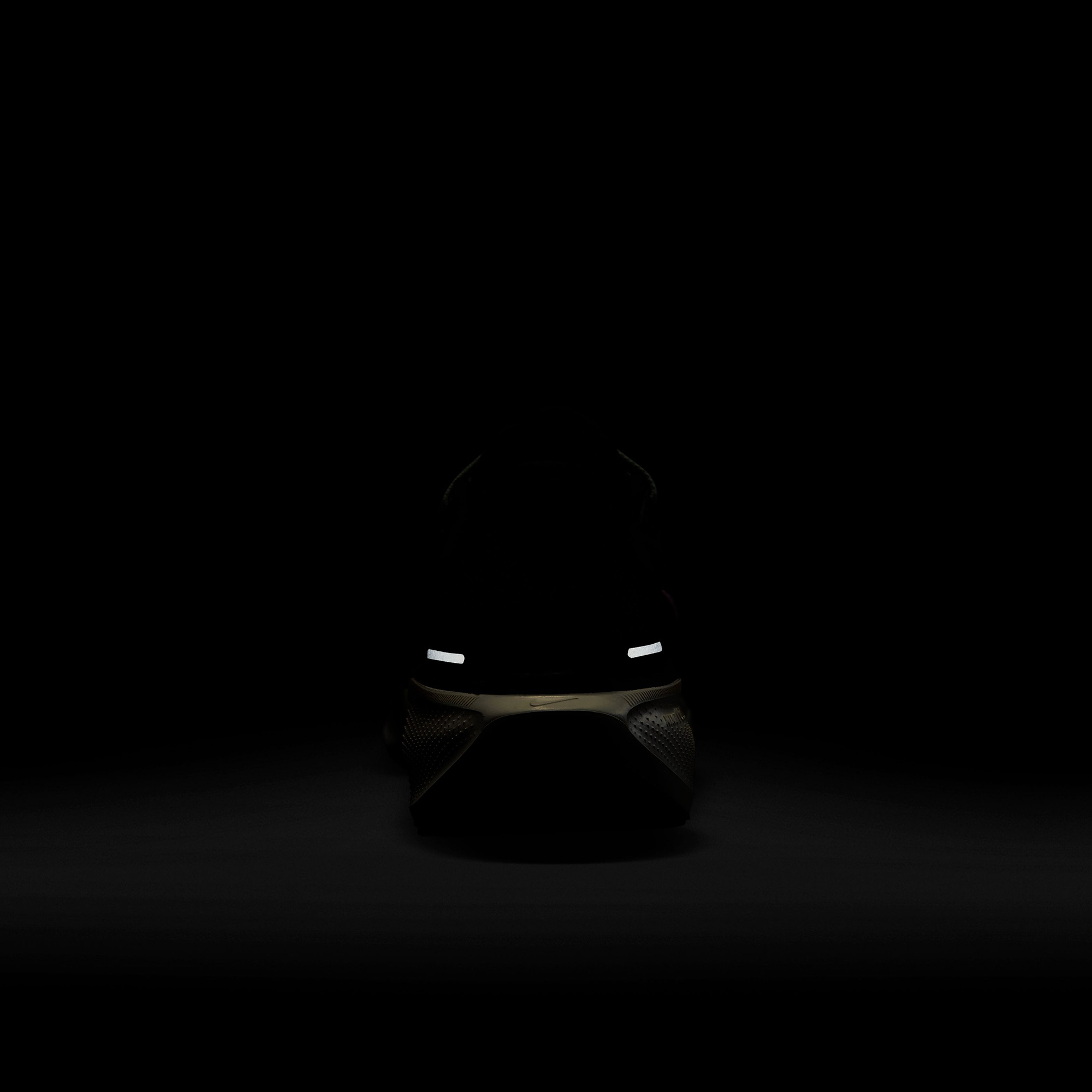 Nike Pegasus 41 Kadın Siyah Spor Ayakkabı