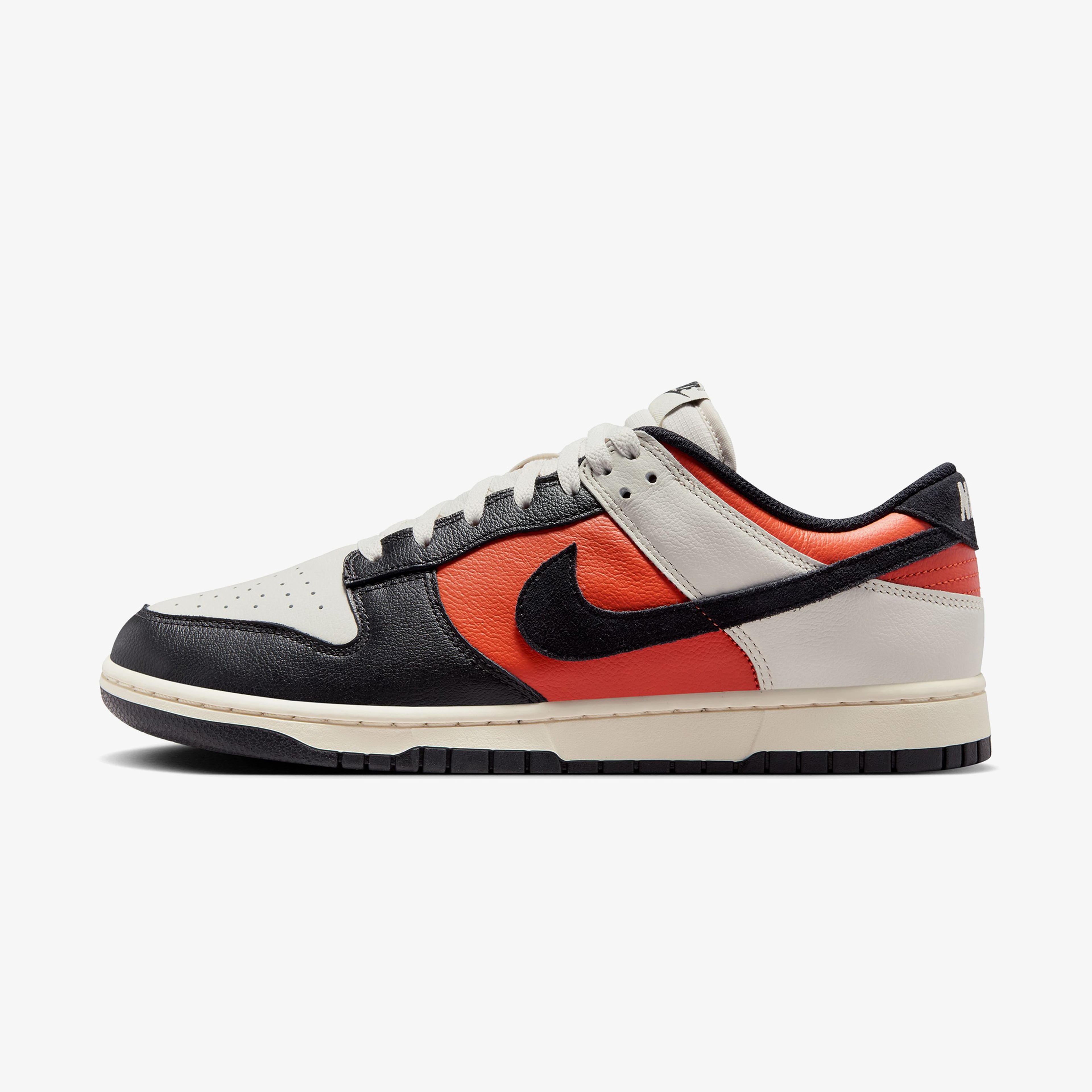 Nike Dunk Low Retro Erkek Renkli Sneaker