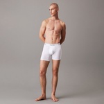 Calvin Klein Erkek Renkli İç Giyim