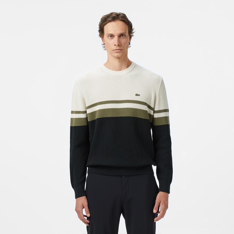 Erkek Classic Fit Bisiklet Yaka Renk Bloklu Siyah Kazak