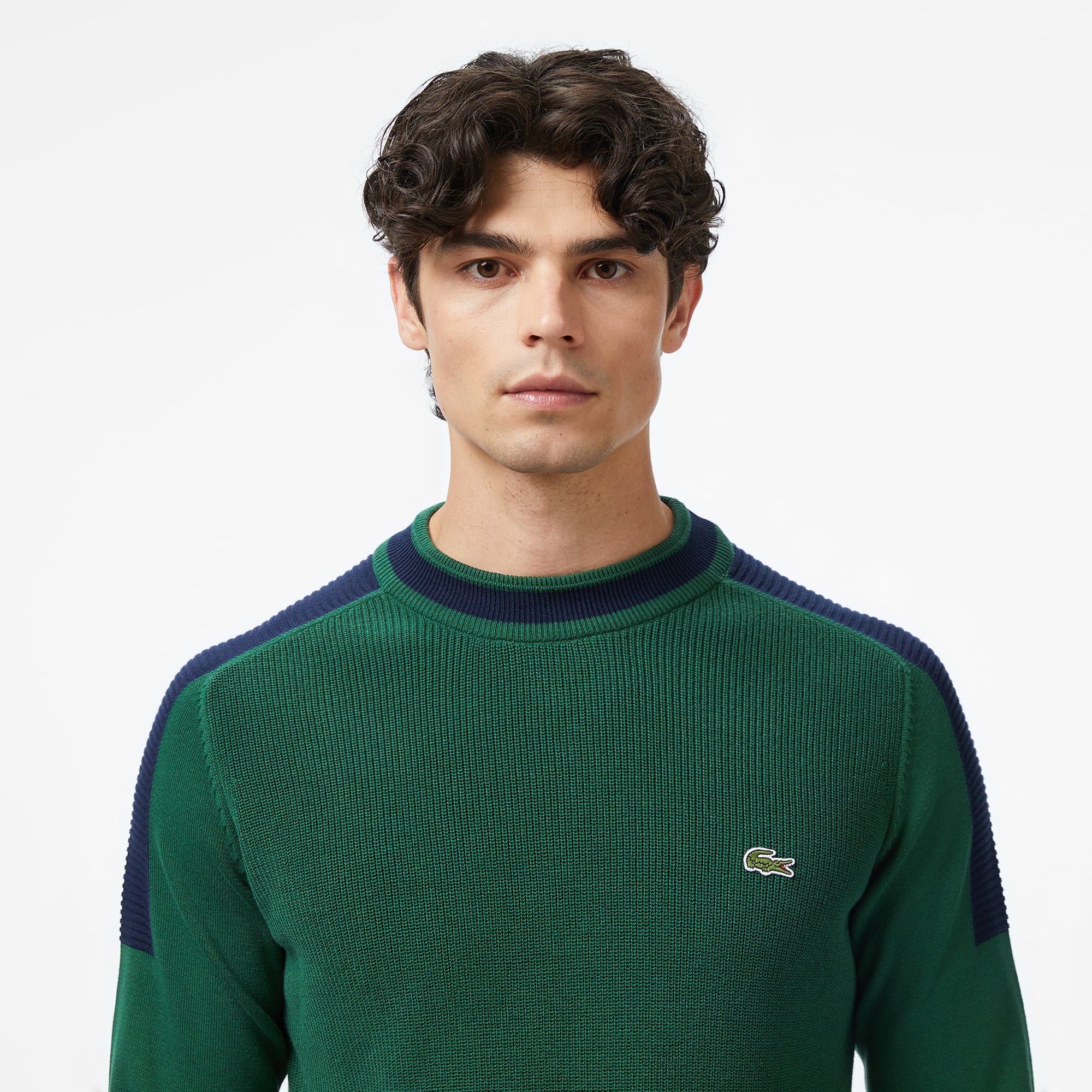 Erkek Classic Fit Bisiklet Yaka Renk Bloklu Yeşil Kazak