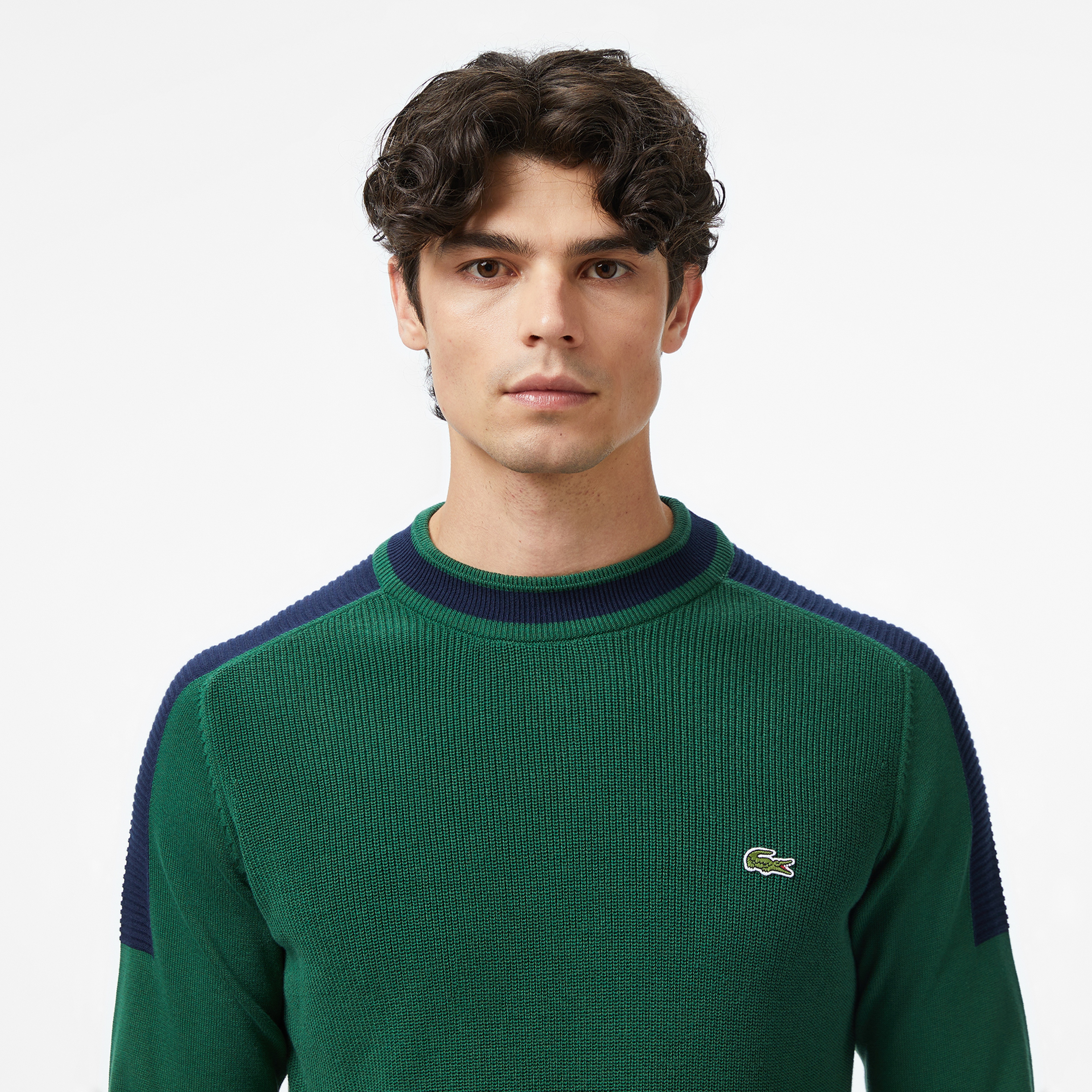 Erkek Classic Fit Bisiklet Yaka Renk Bloklu Yeşil Kazak