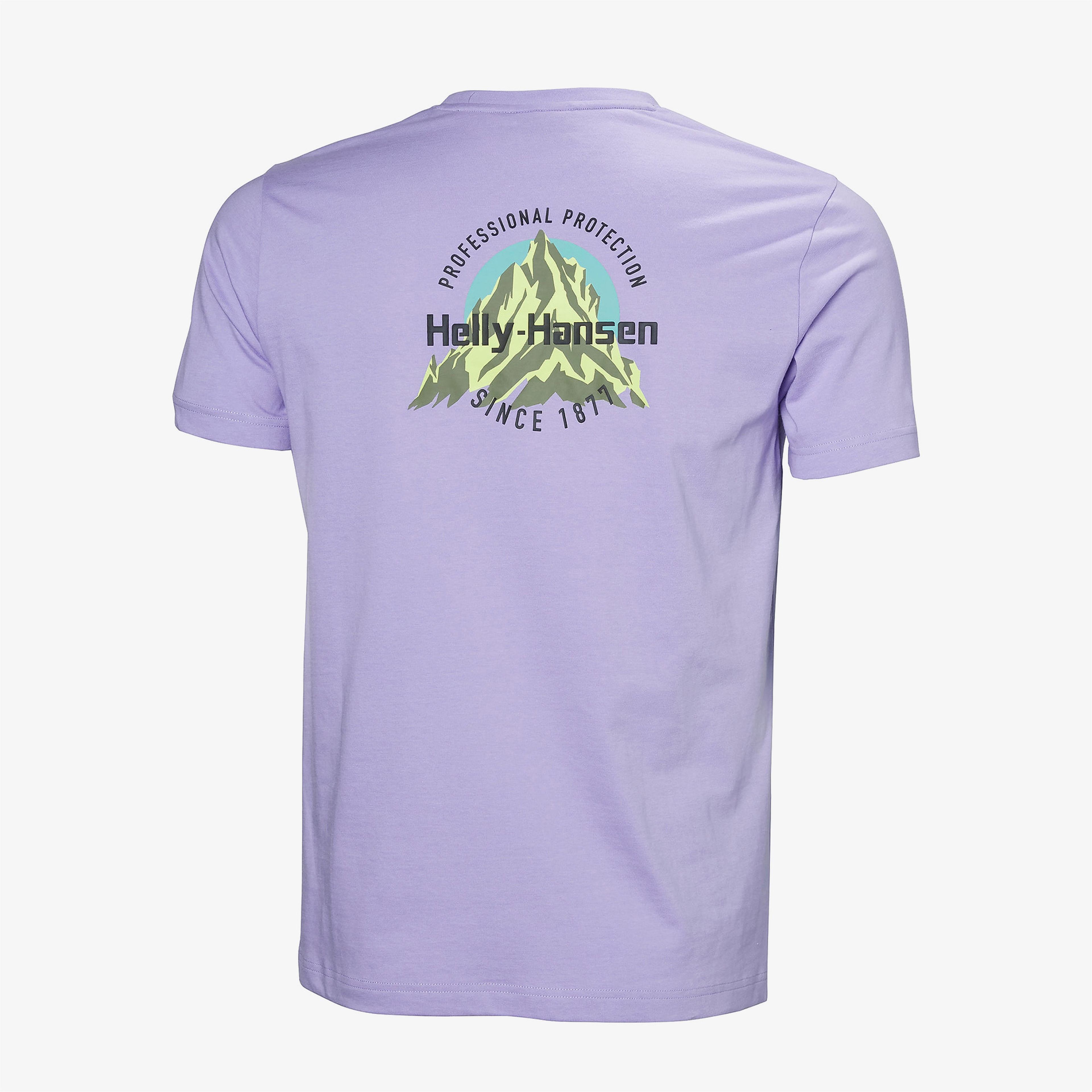 Helly Hansen Core Graphic 2.0 Erkek Mor T-shirt