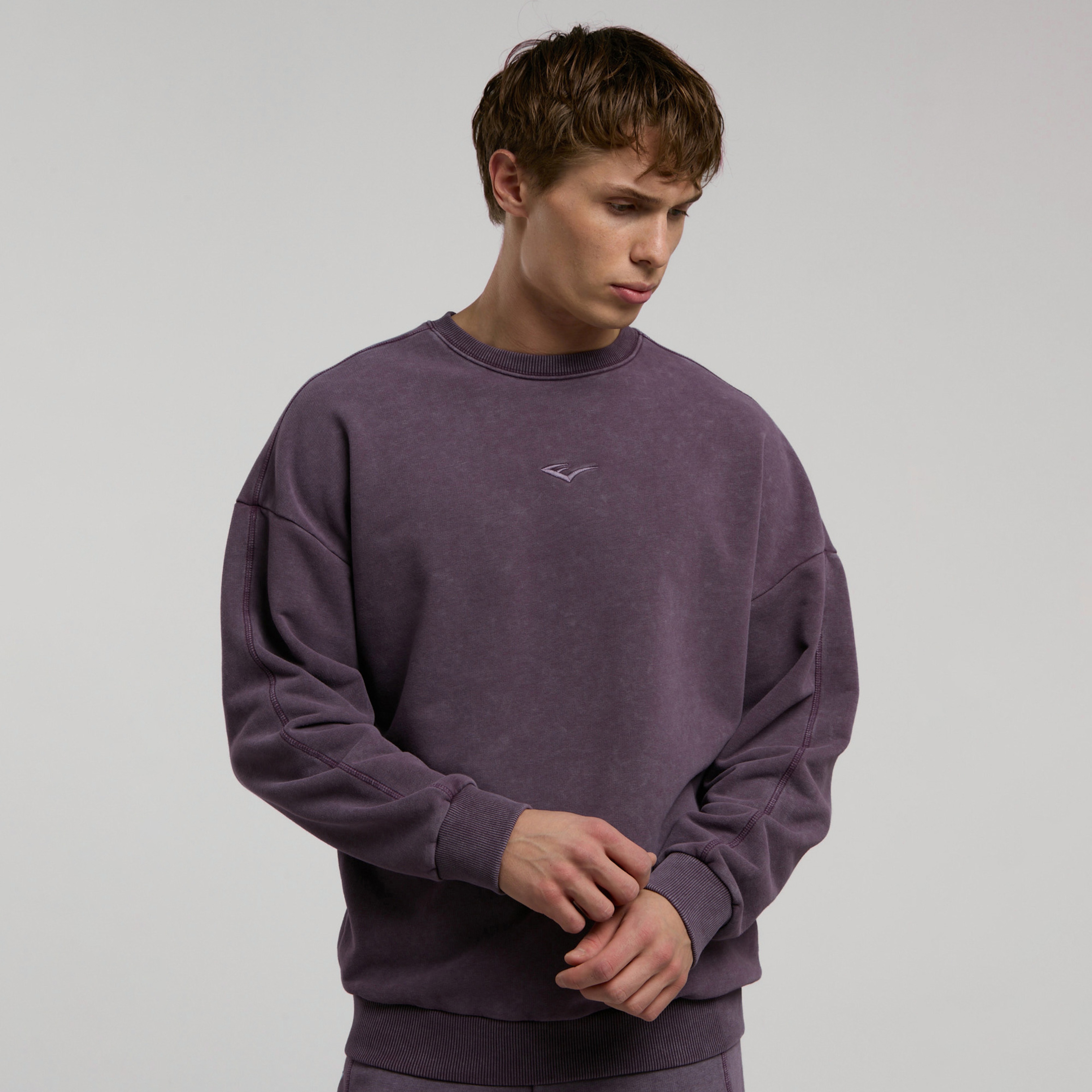 Everlast Bronx 1910 Yıkamalı Erkek Mor Sweatshirt