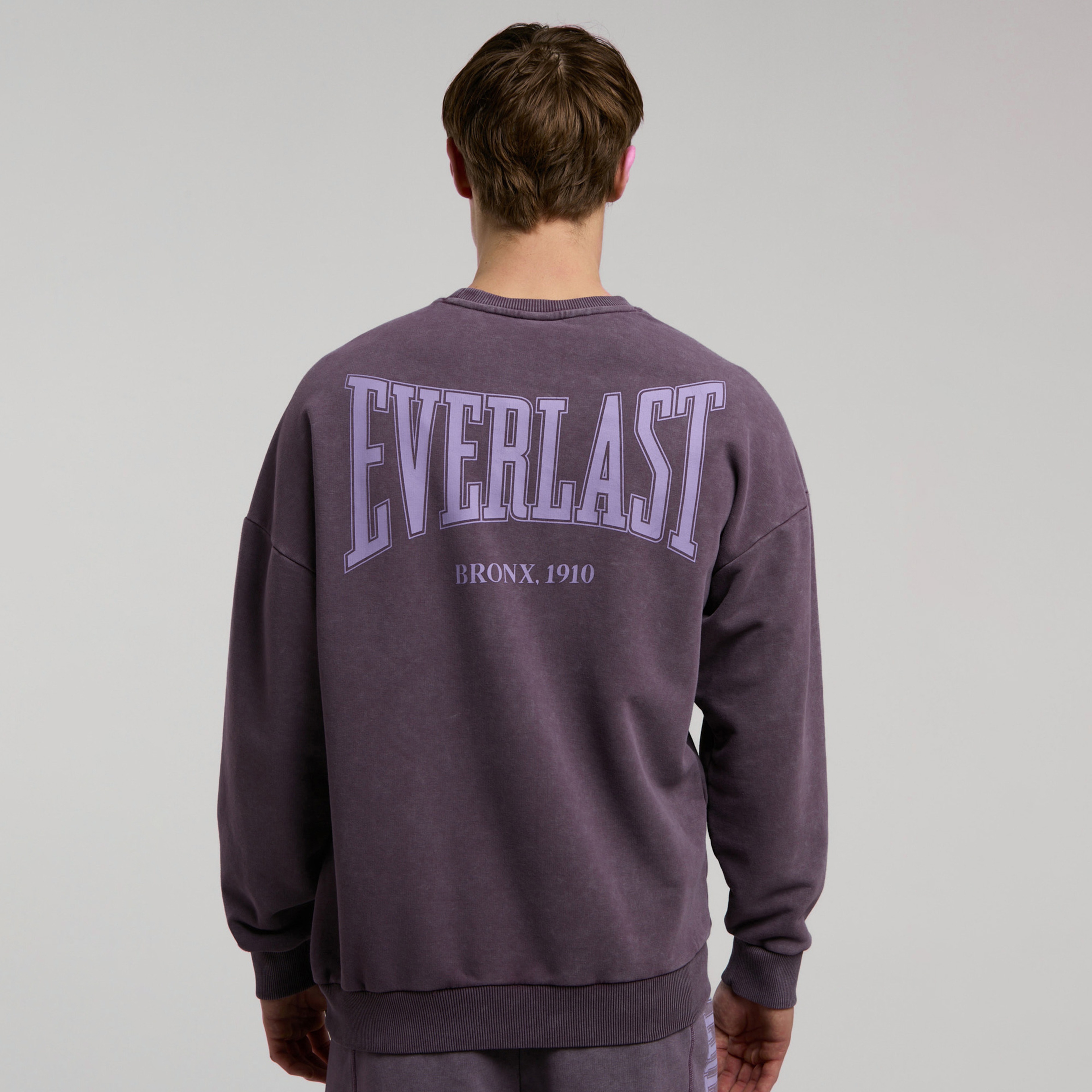 Everlast Bronx 1910 Yıkamalı Erkek Mor Sweatshirt